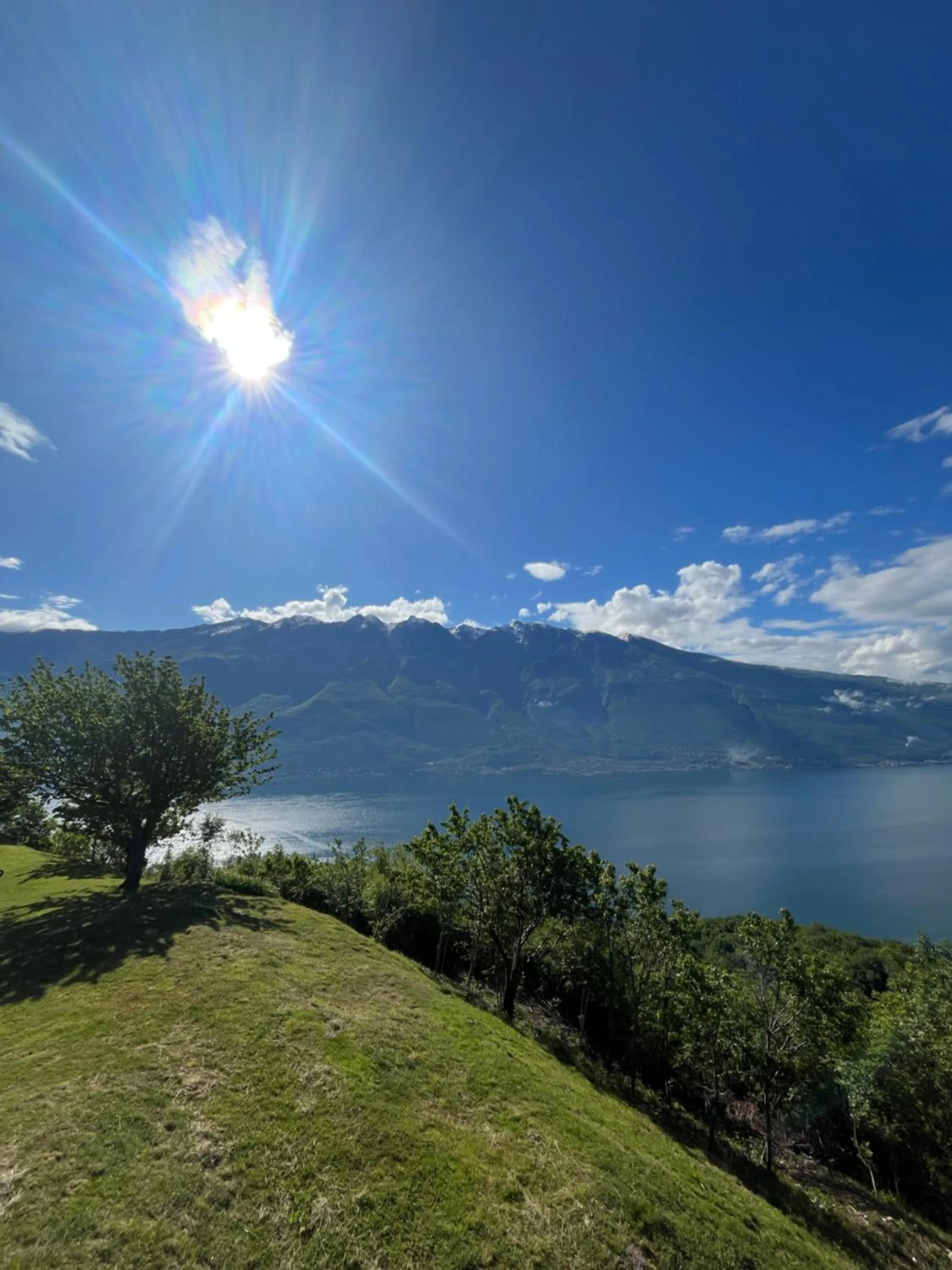 Natural landscape in Villa Selene