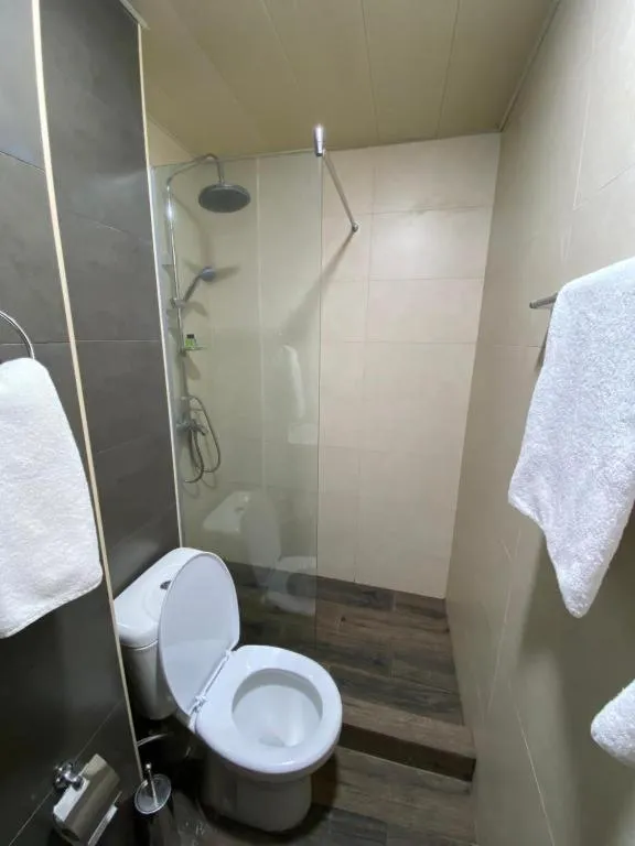 Toilet in The Friends