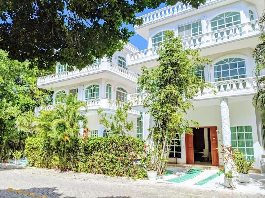 3br PHouse Rooftop terrace with plunge pool and ocean view walk to beach 5th ave and Cozumel Ferry
