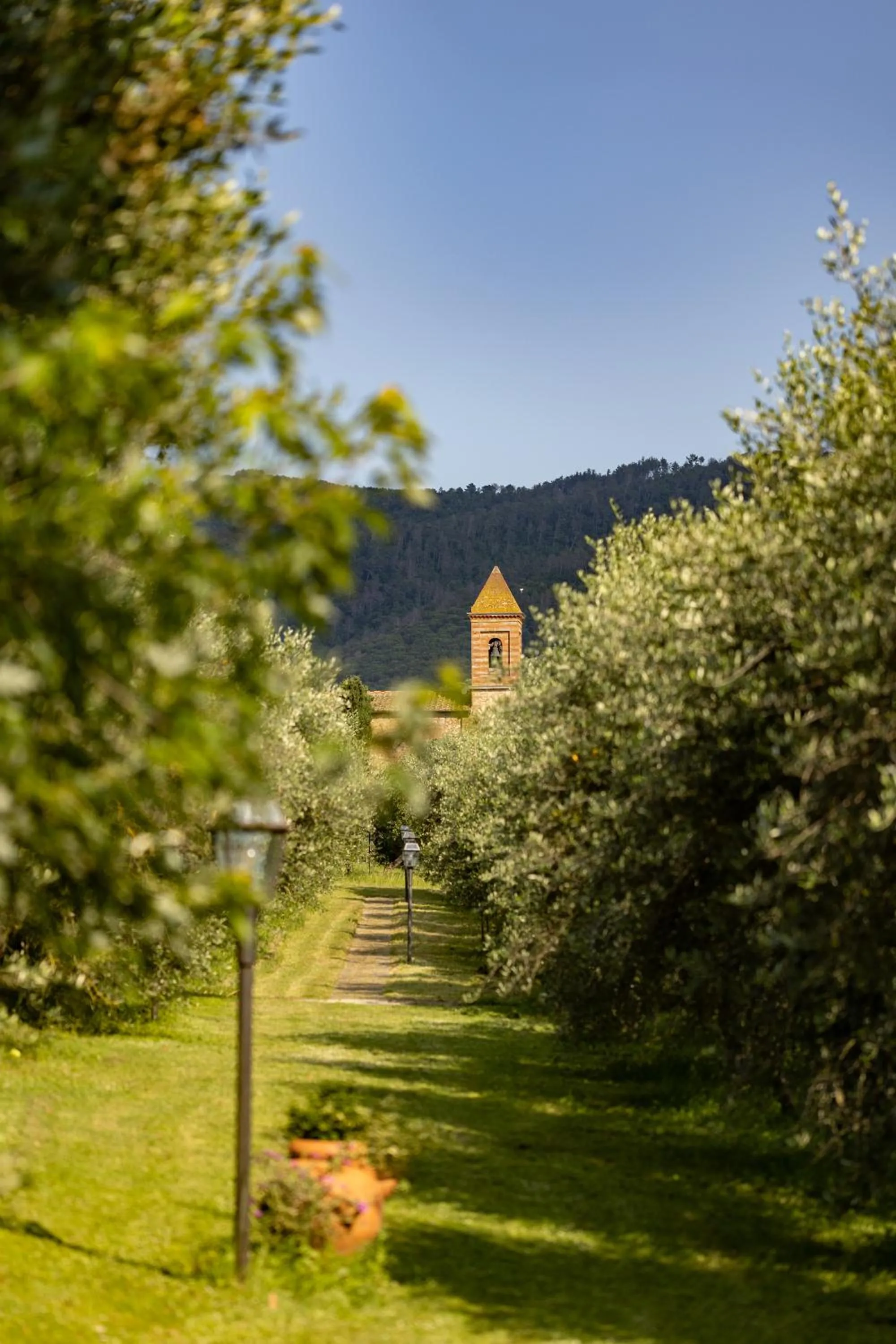 Nearby landmark in Agriturismo La Pievuccia