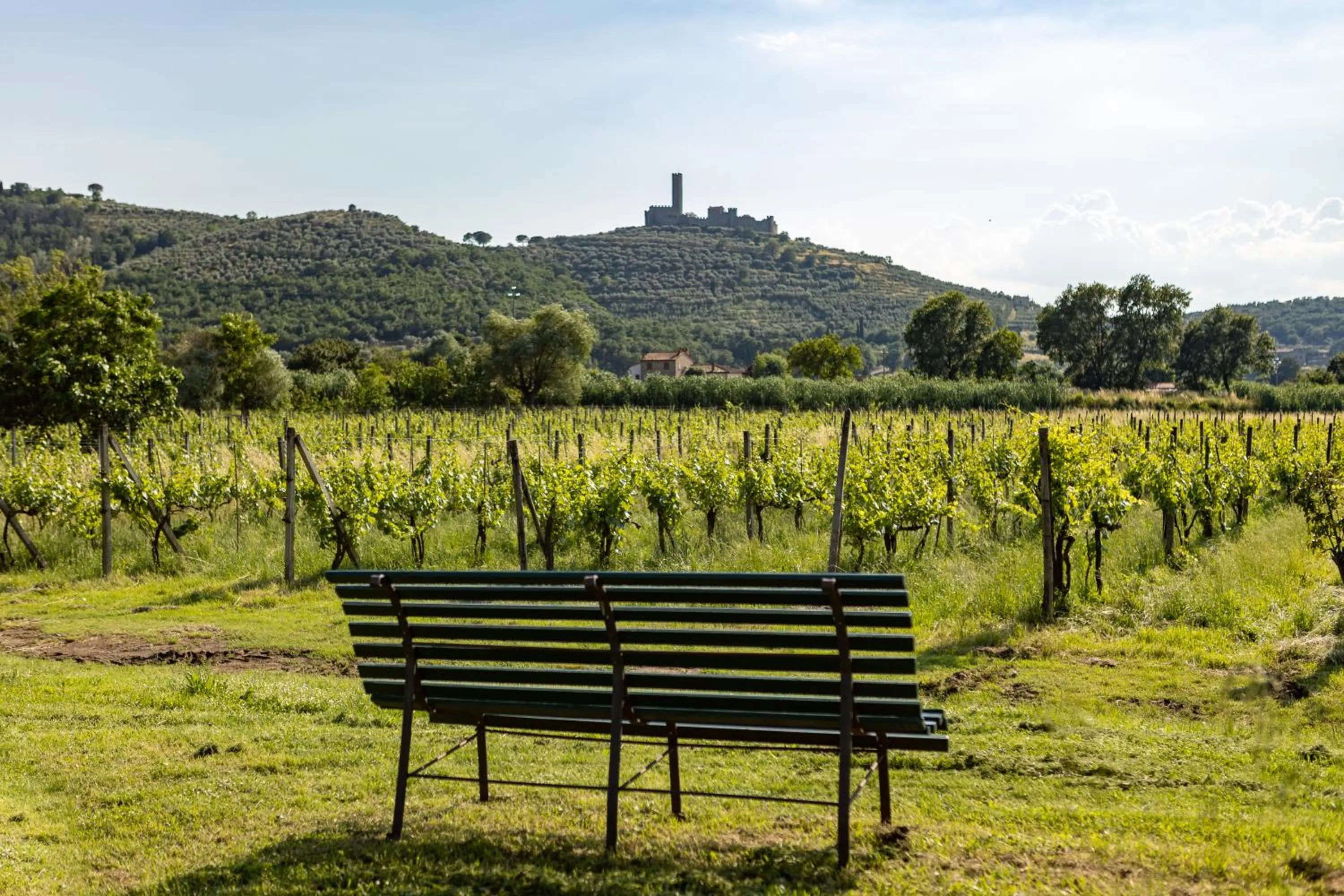 Nearby landmark in Agriturismo La Pievuccia
