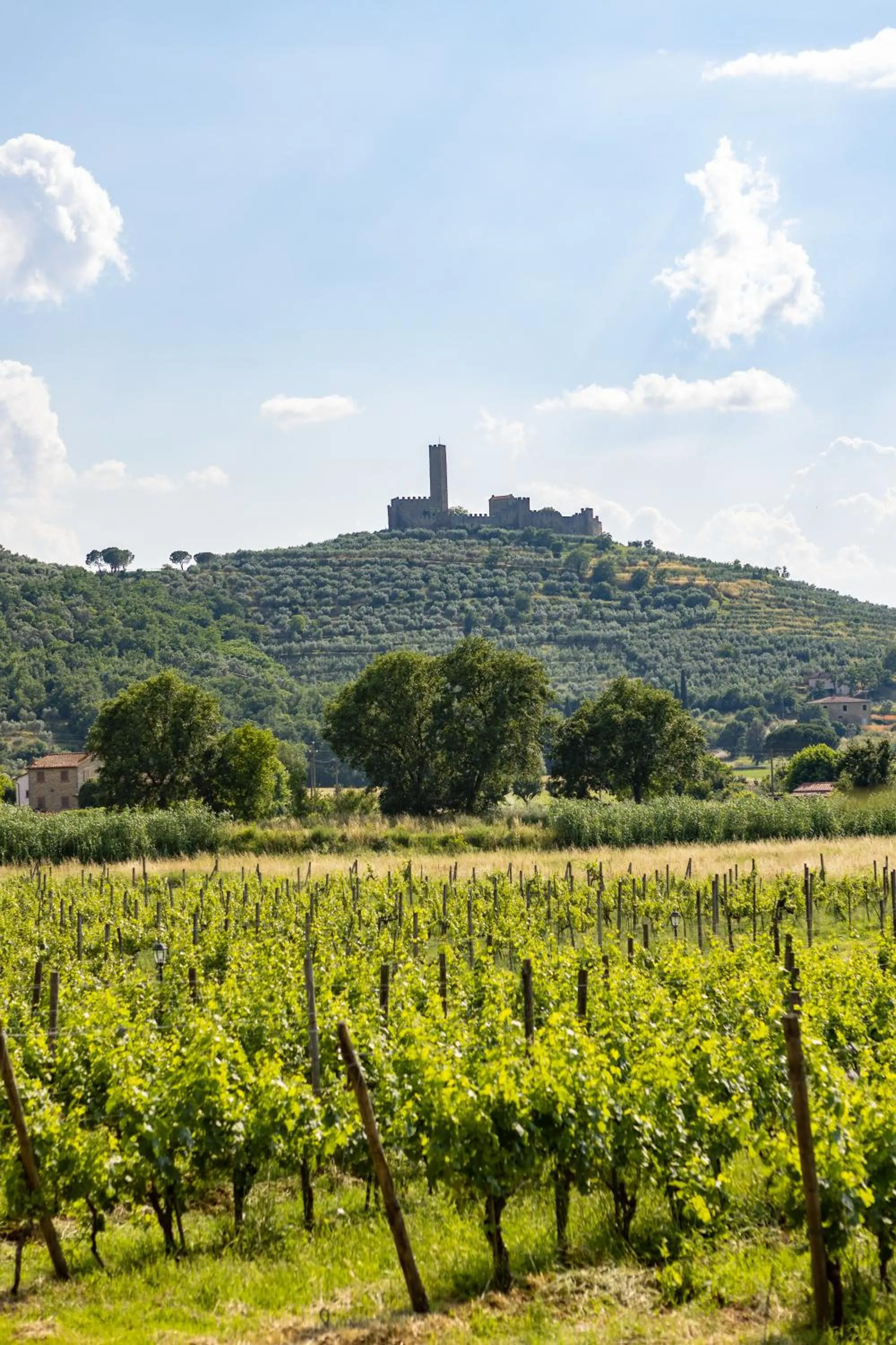 Nearby landmark in Agriturismo La Pievuccia