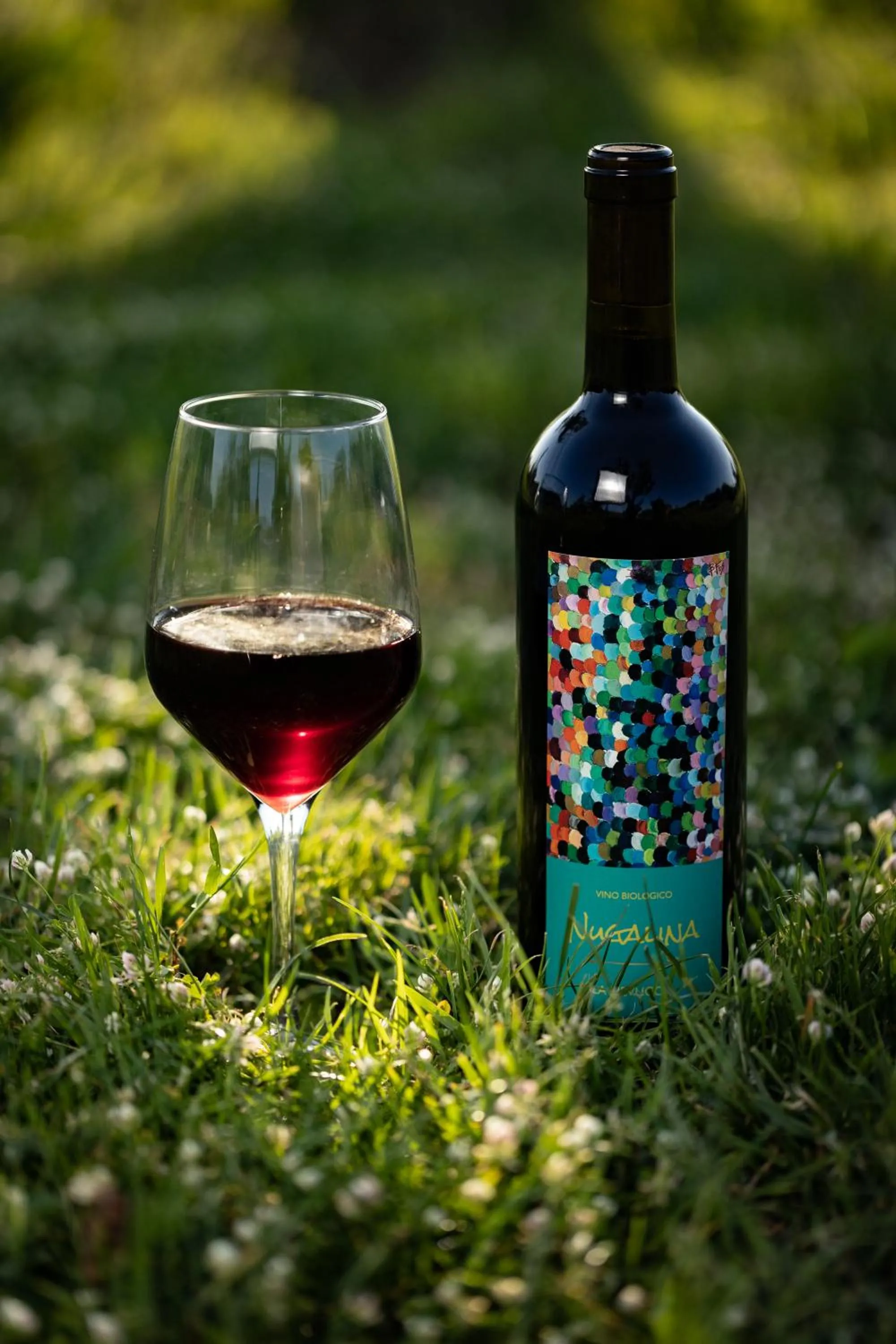 Alcoholic drinks in Agriturismo La Pievuccia
