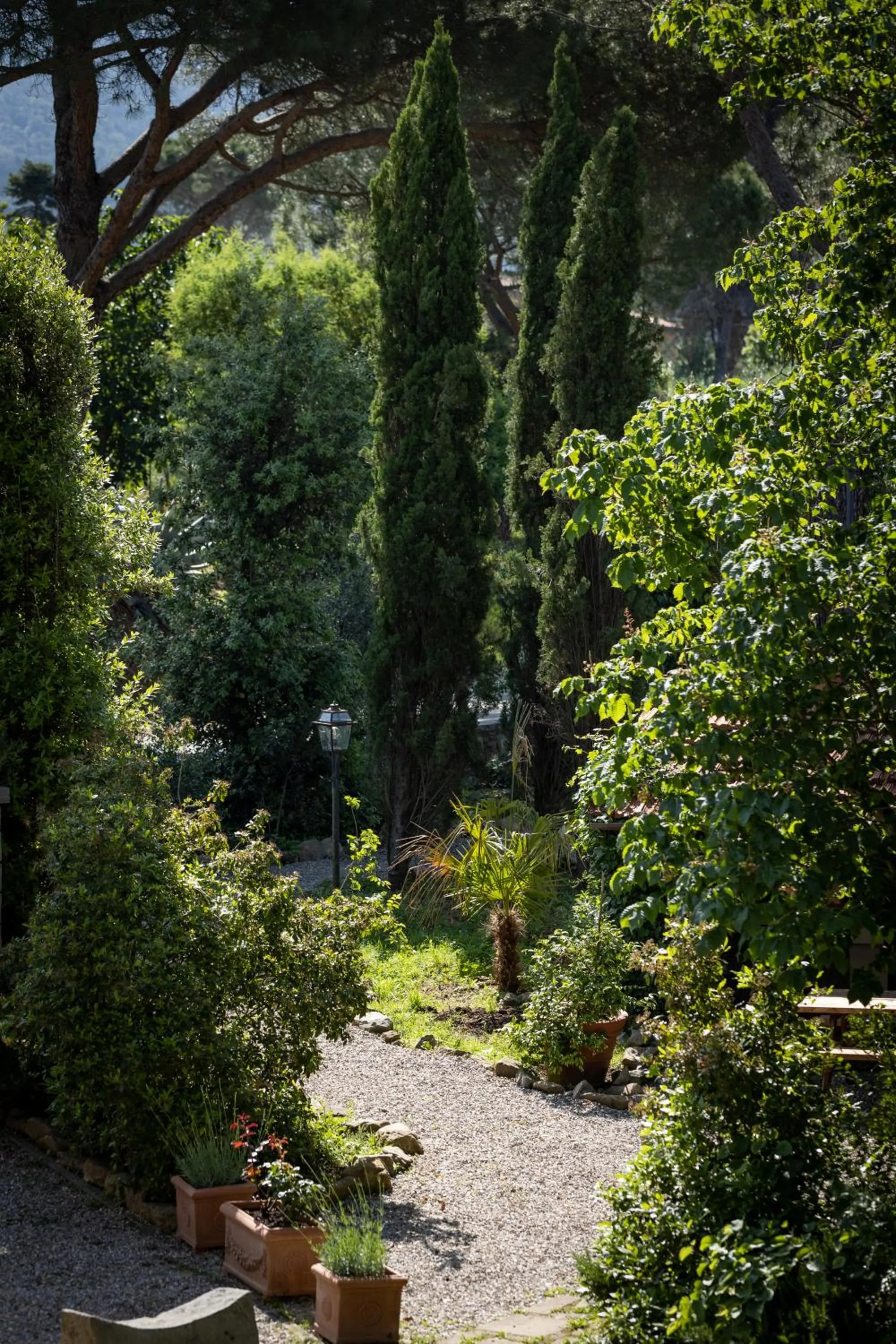 Garden in Agriturismo La Pievuccia