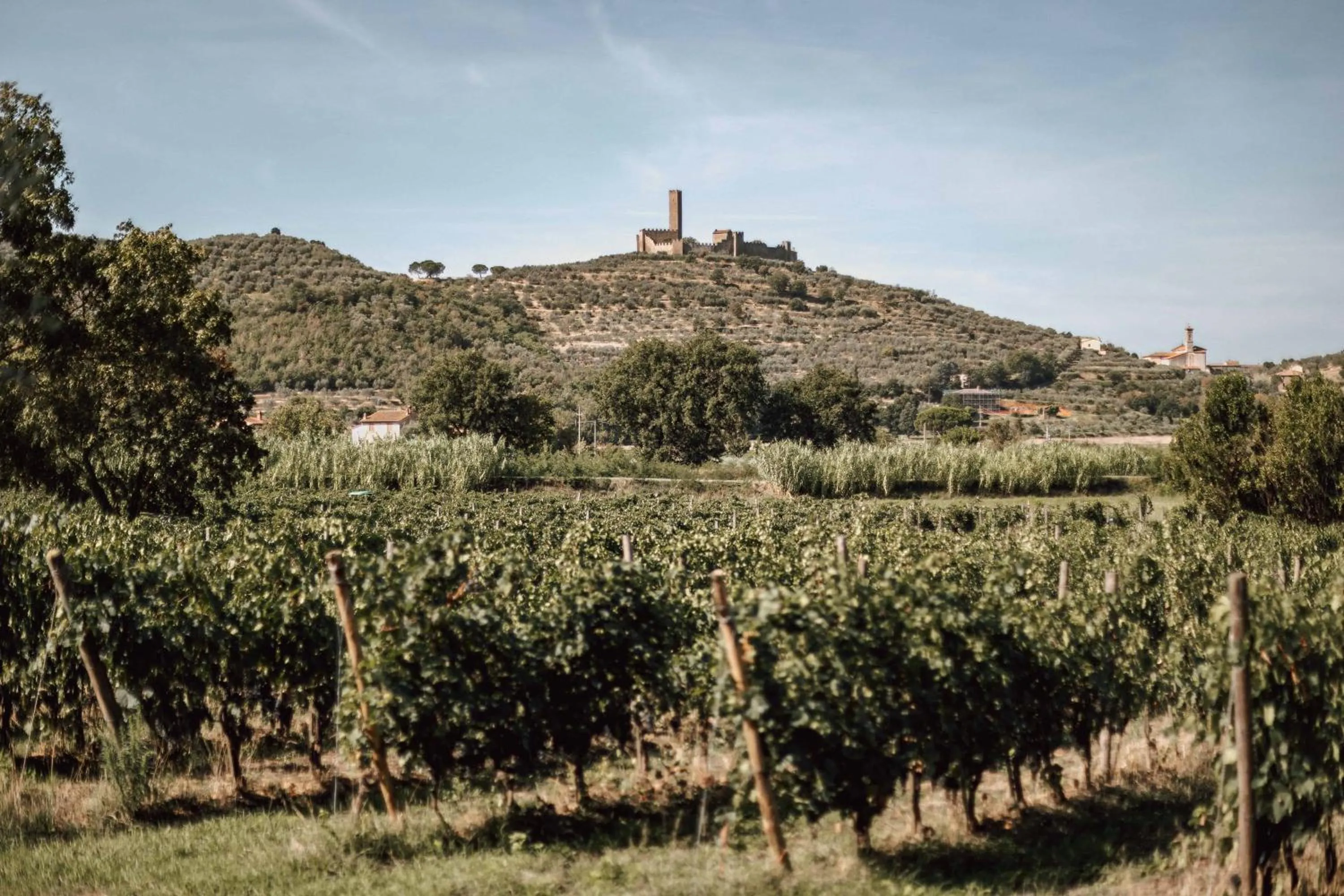 Nearby landmark in Agriturismo La Pievuccia