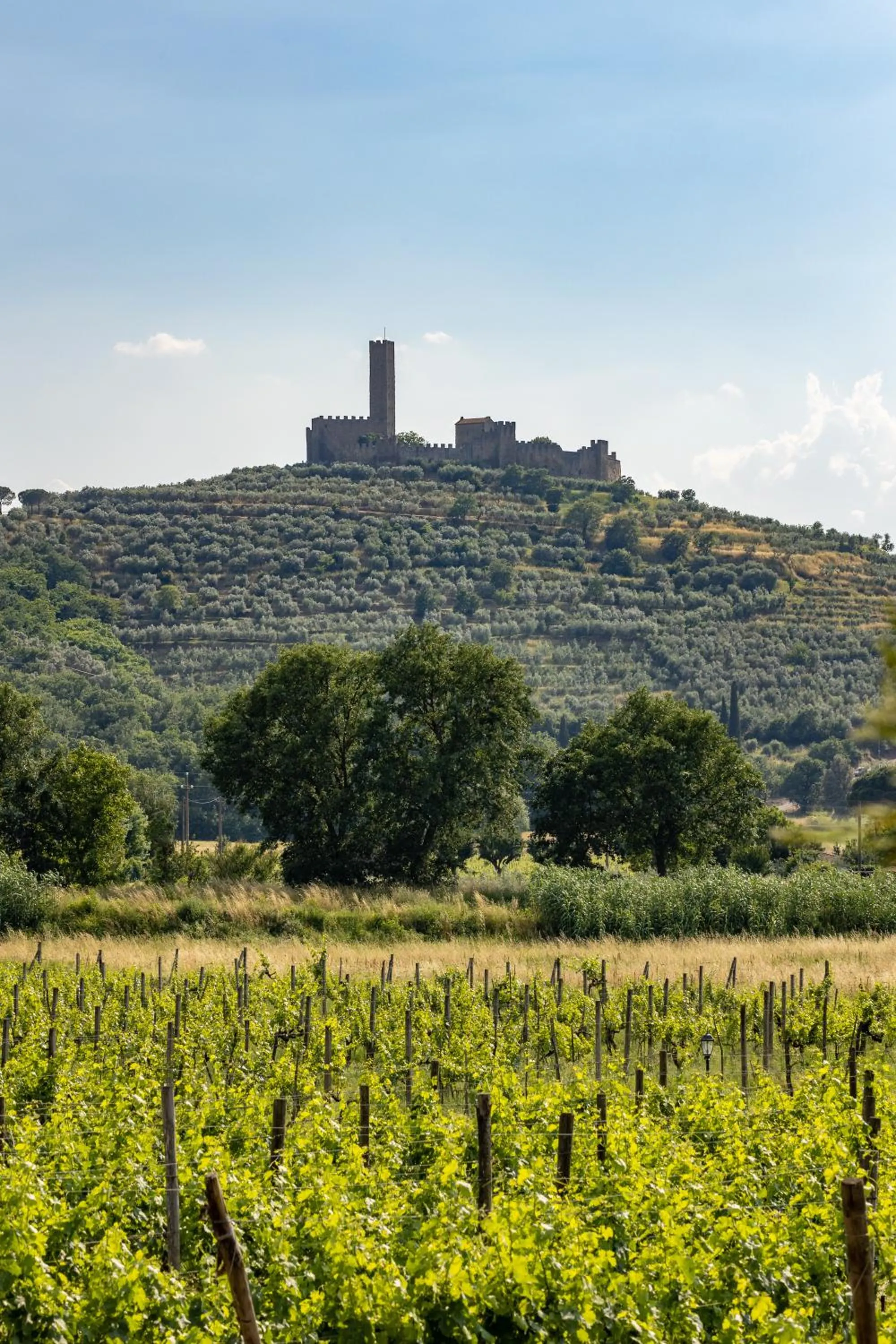 Nearby landmark in Agriturismo La Pievuccia
