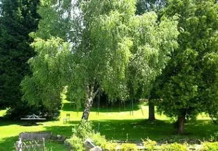 Garden in Hôtel La Clairière Garden in Hôtel La Clairière