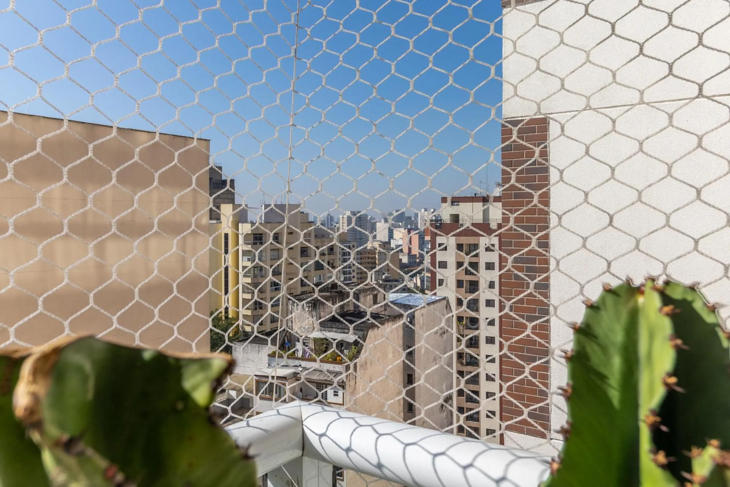 City view in Akile Hype