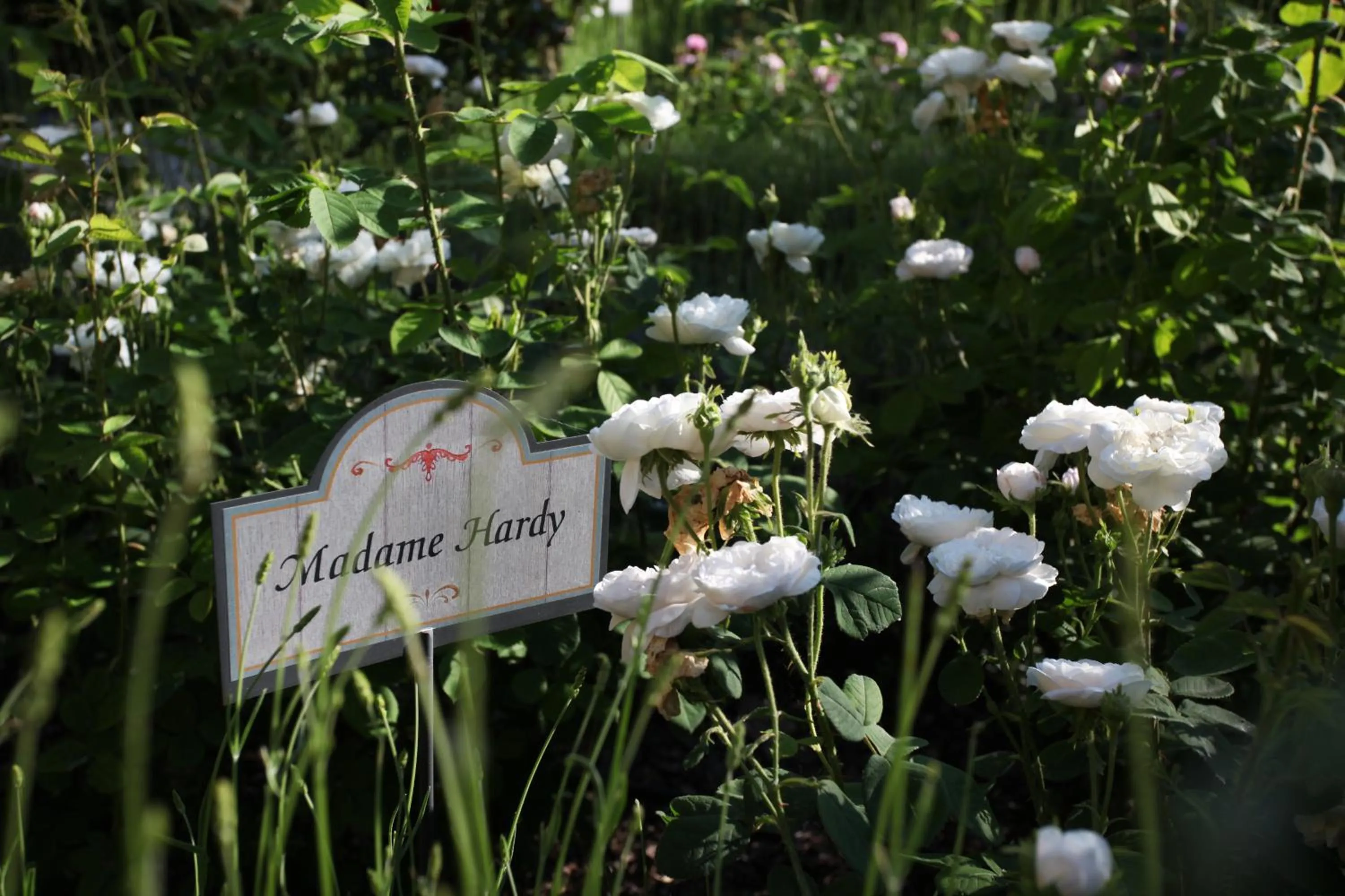 Garden in Resort e Spa San Crispino