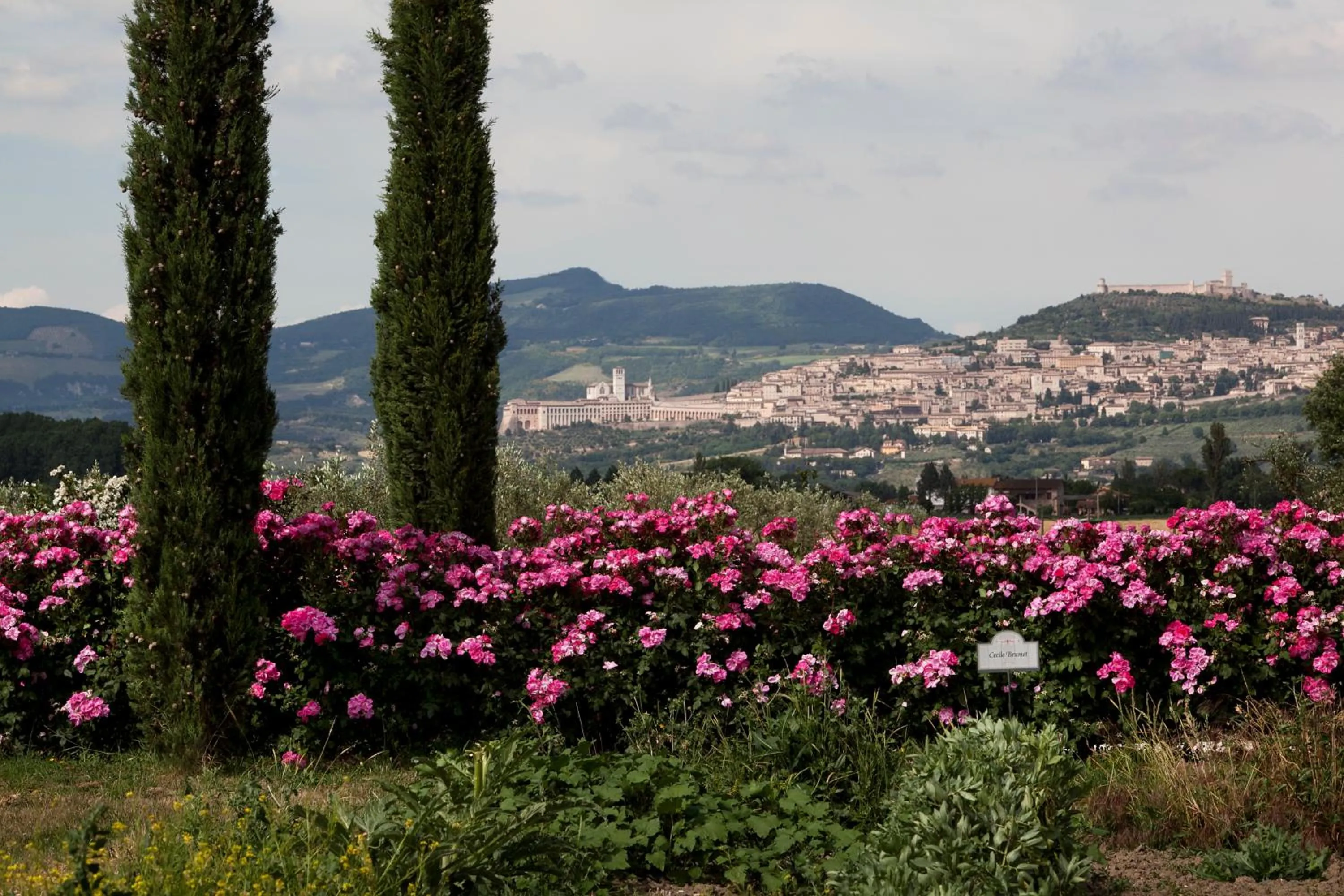 Facade/entrance in Resort e Spa San Crispino