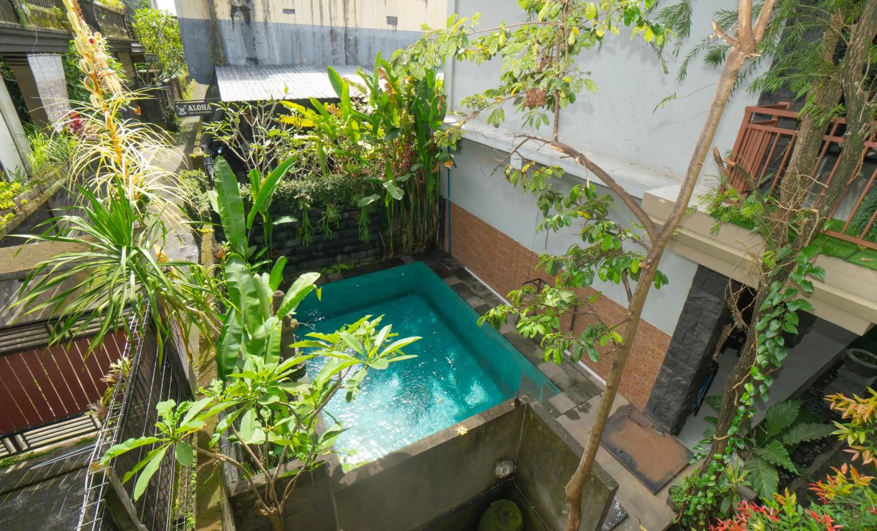 Spring in PAK'VO'HOUSE