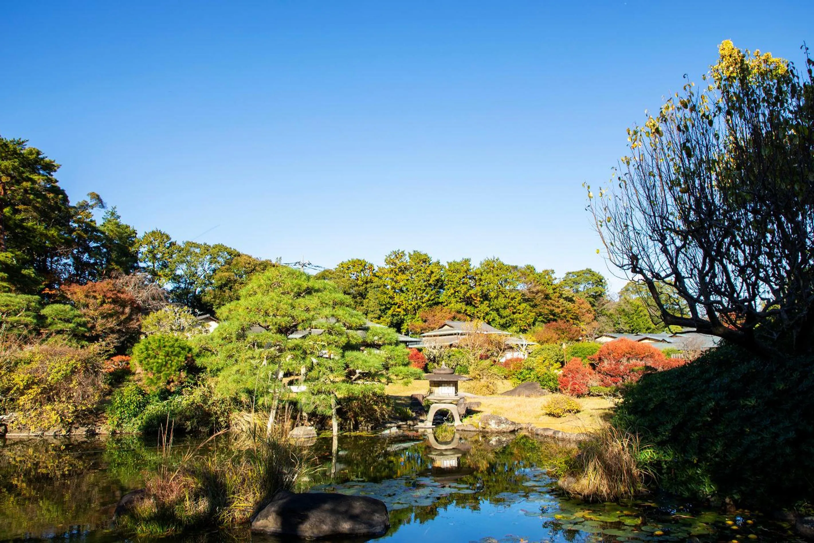 Property building in Sanyo-so