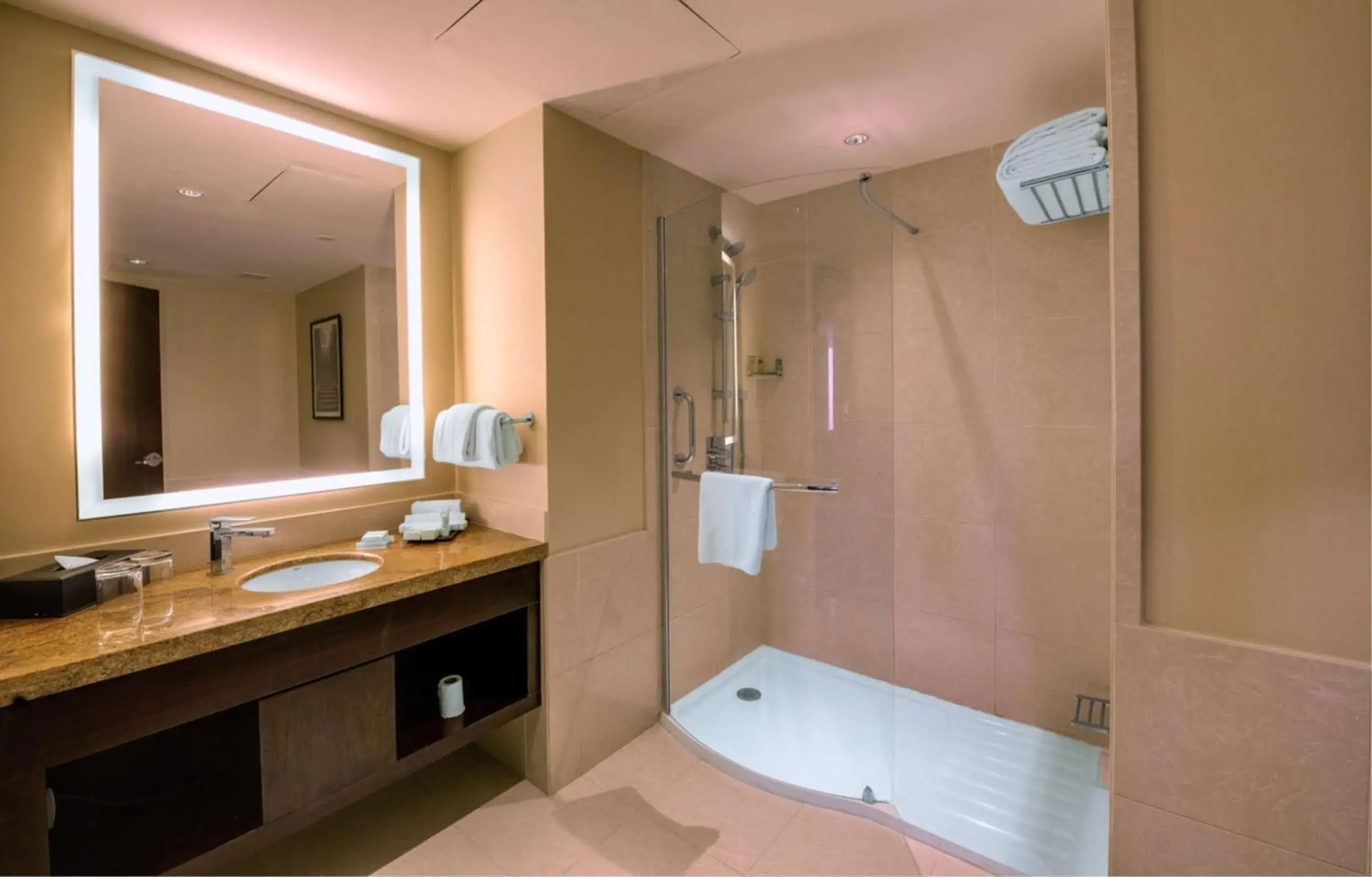 Bathroom in Hilton Garden Inn, Trivandrum Bathroom in Hilton Garden Inn, Trivandrum