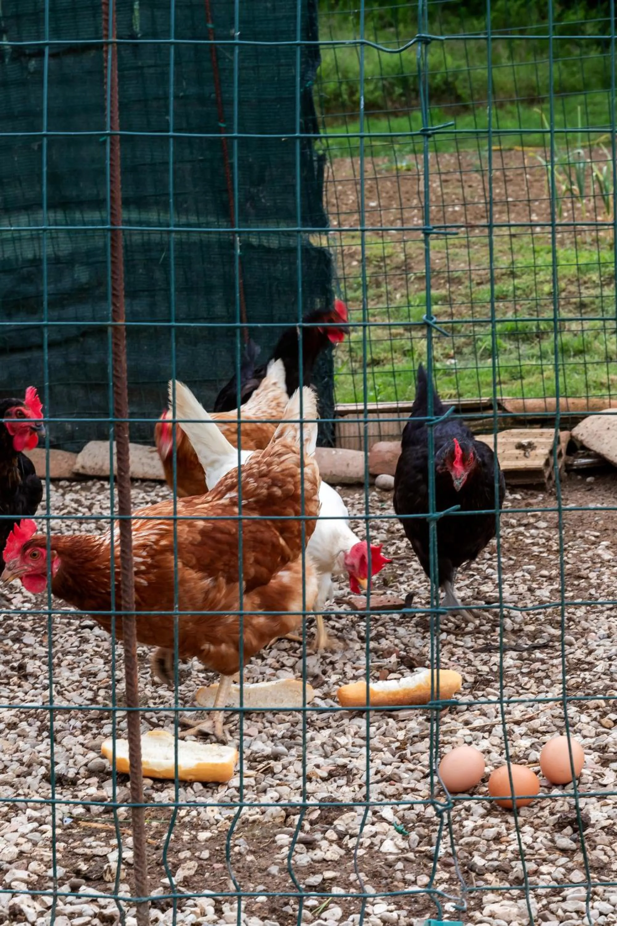 Day in Locanda Tanè