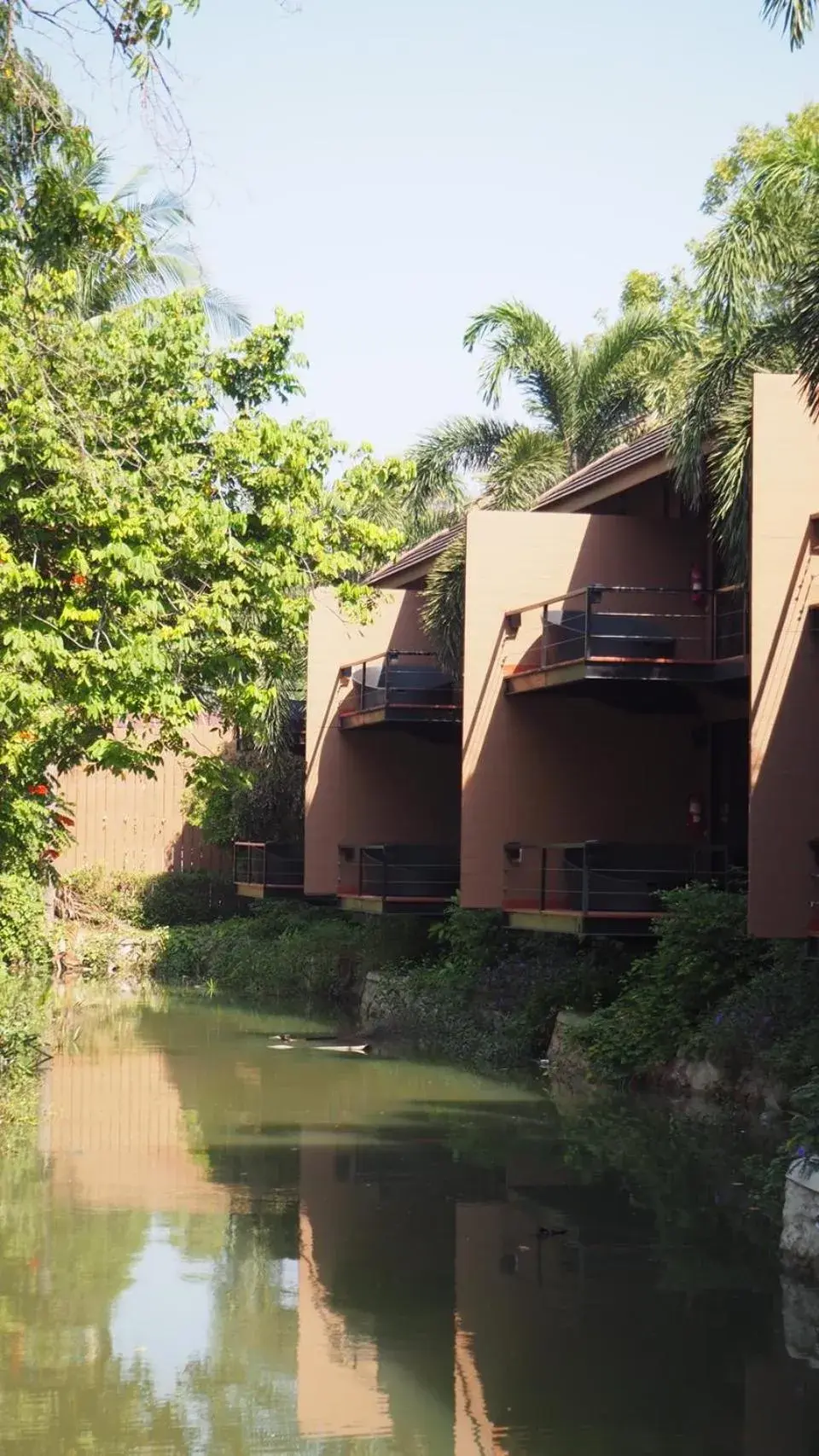 Property building in The Grace Amphawa Property building in The Grace Amphawa