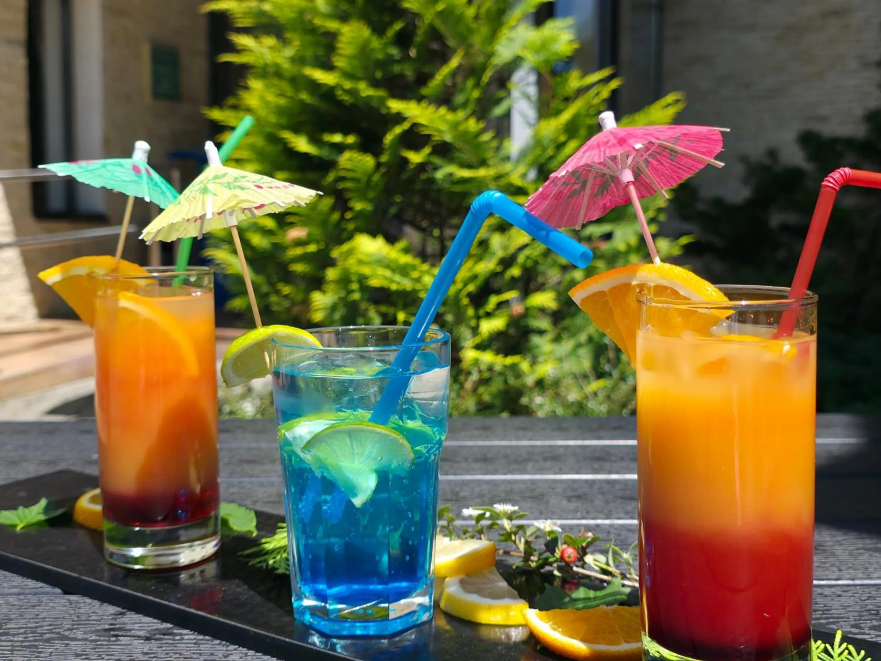 Garden in Hotel Carpați