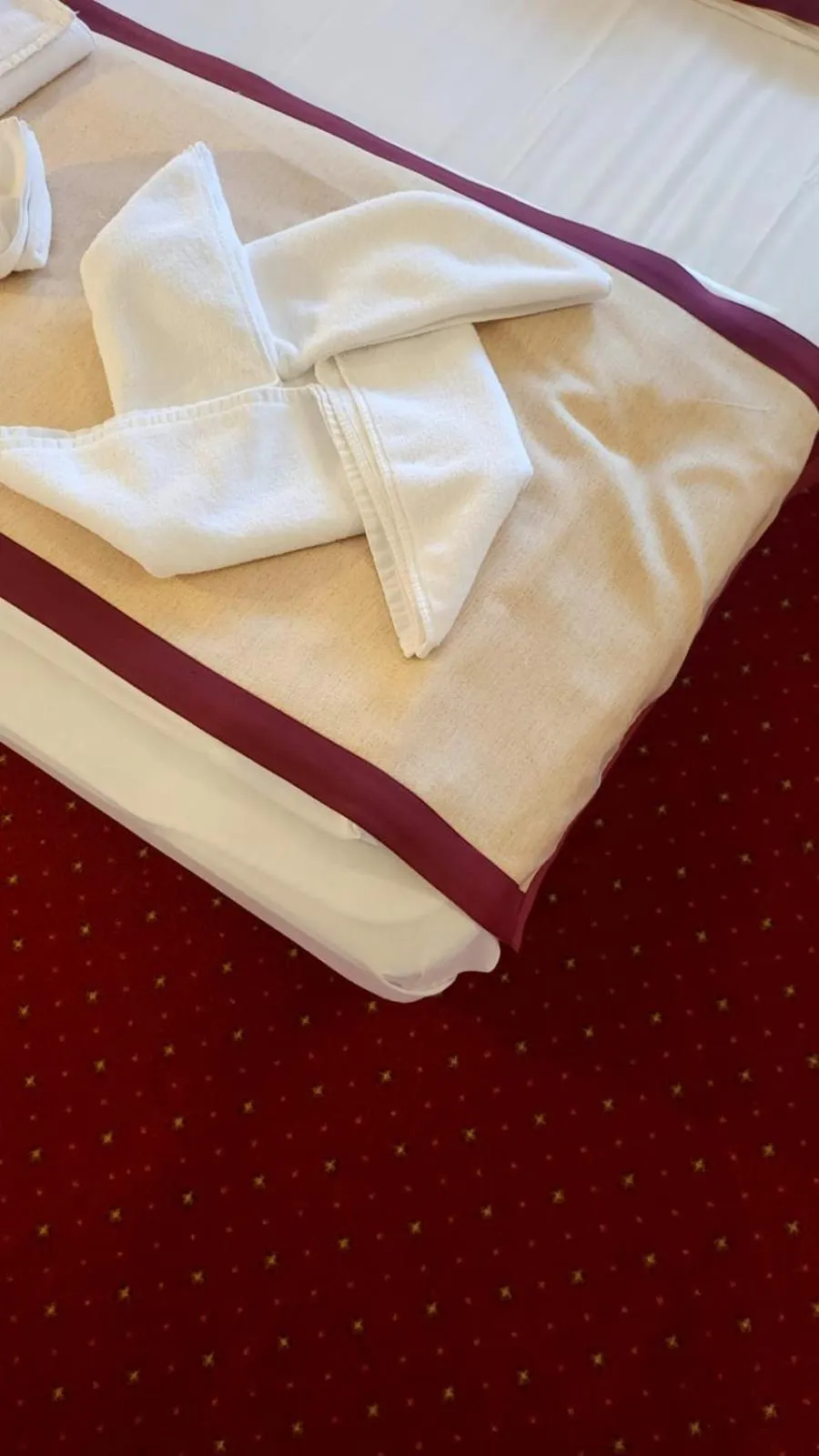 towels, Bed in Hotel Carpați