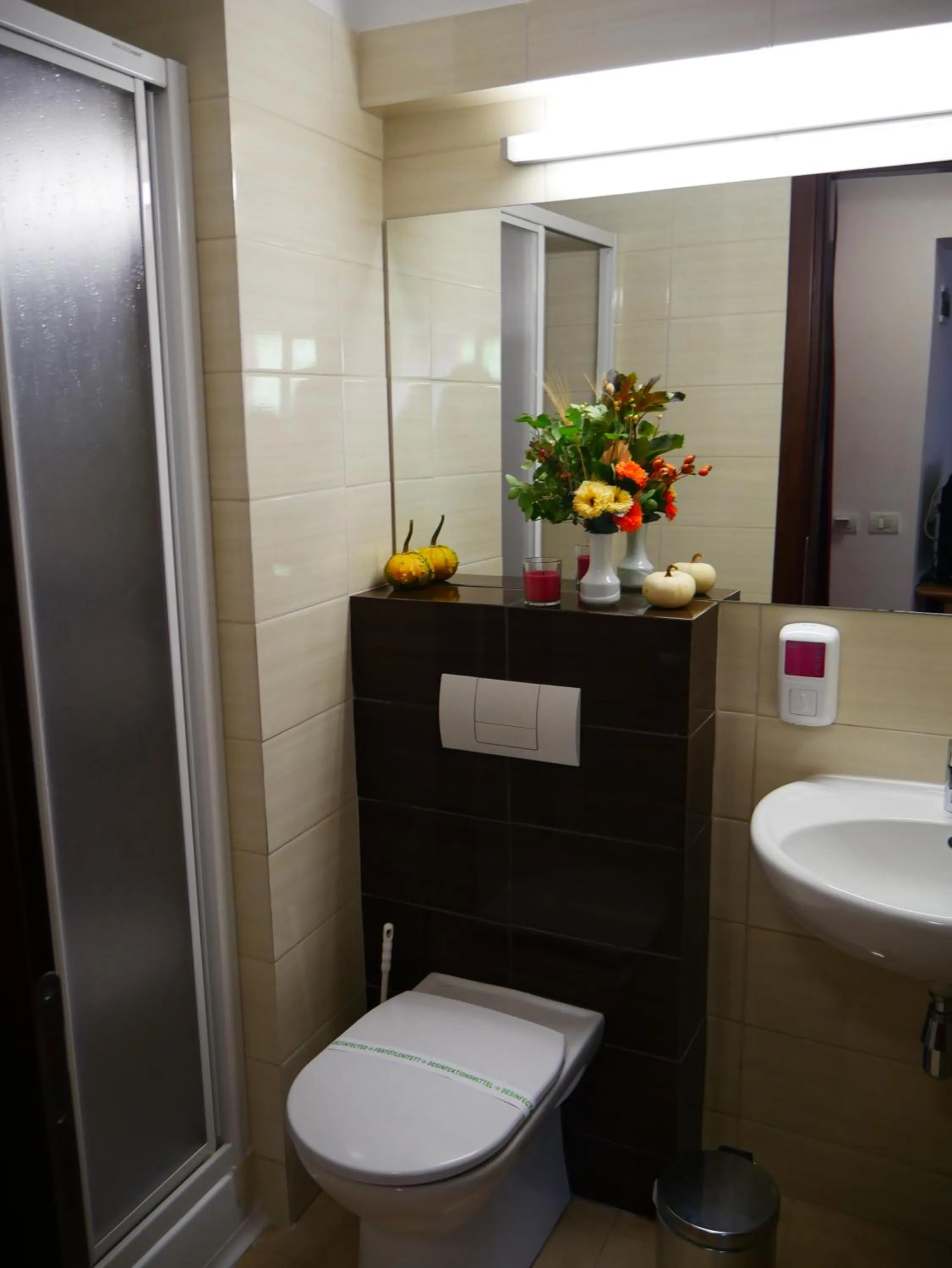 Bathroom in Hotel Carpați