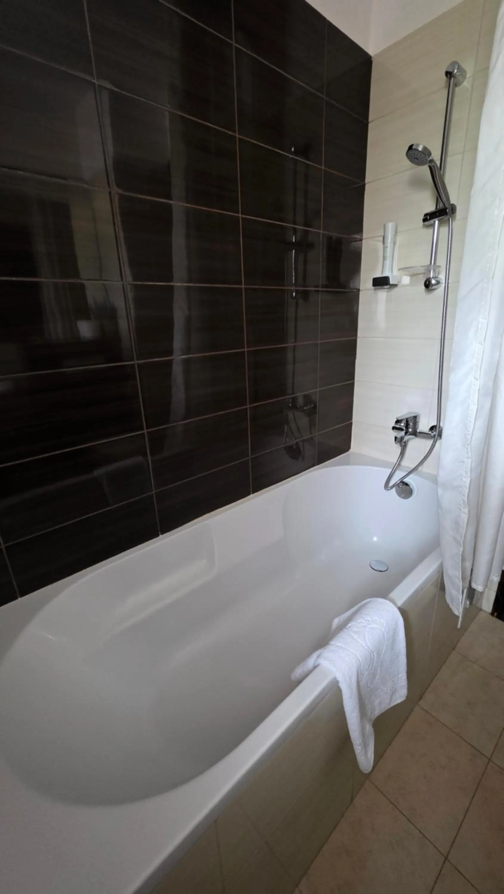 Bath in Hotel Carpați