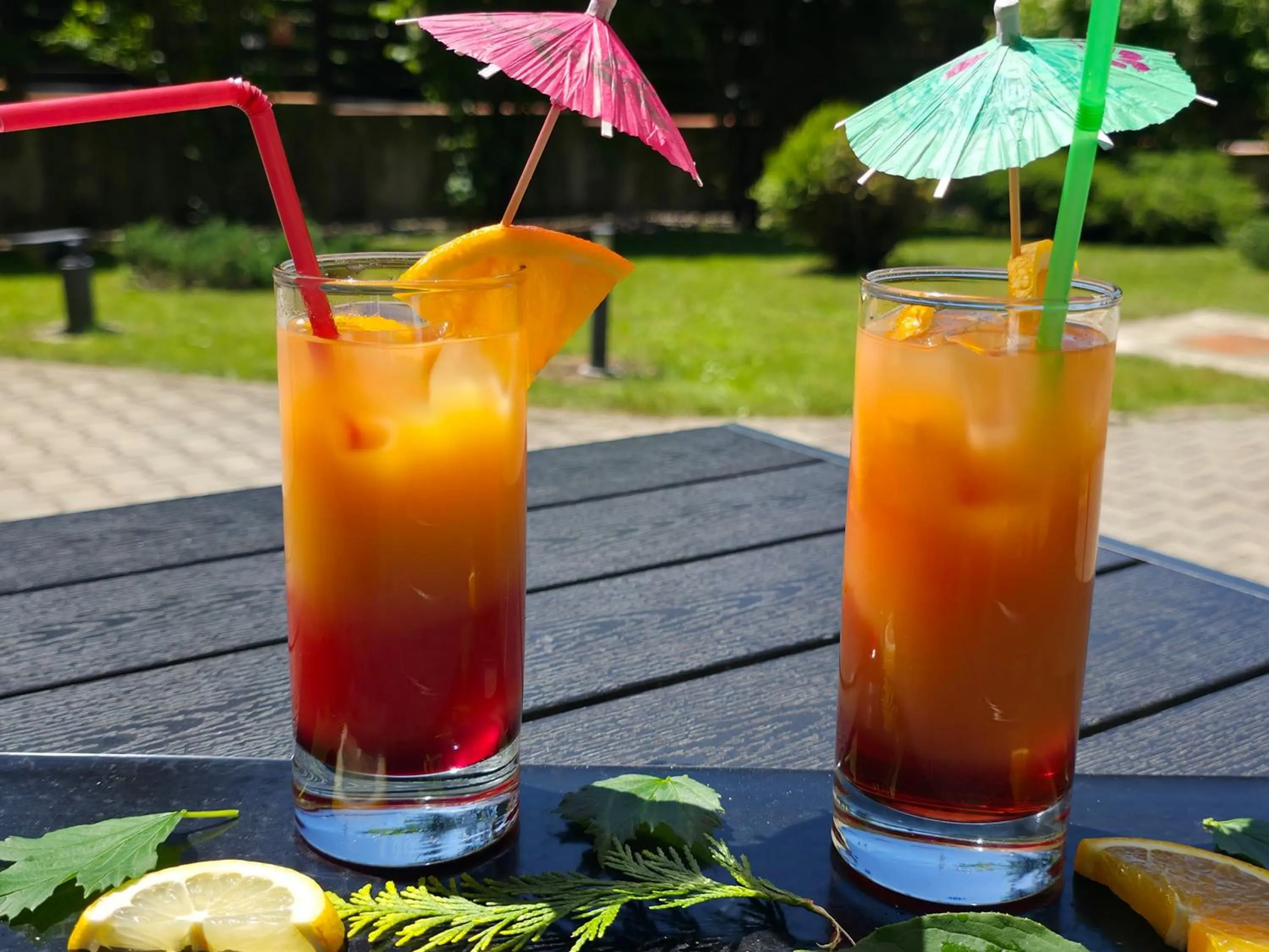Garden in Hotel Carpați