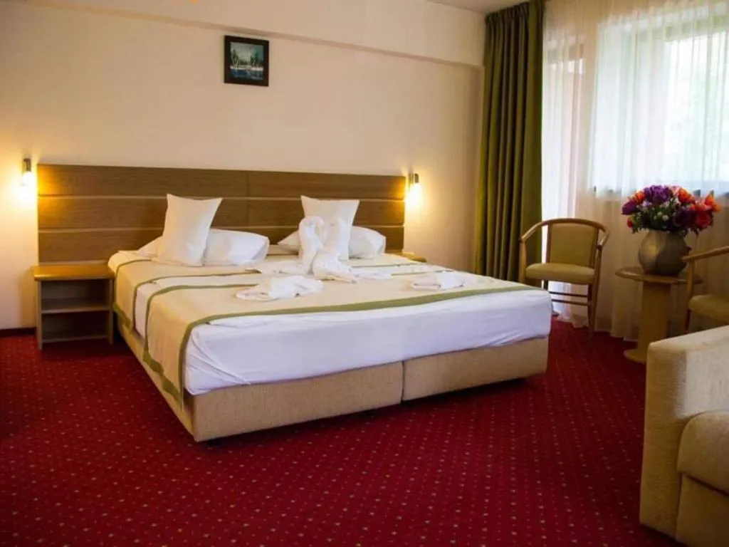Bed in Hotel Carpați