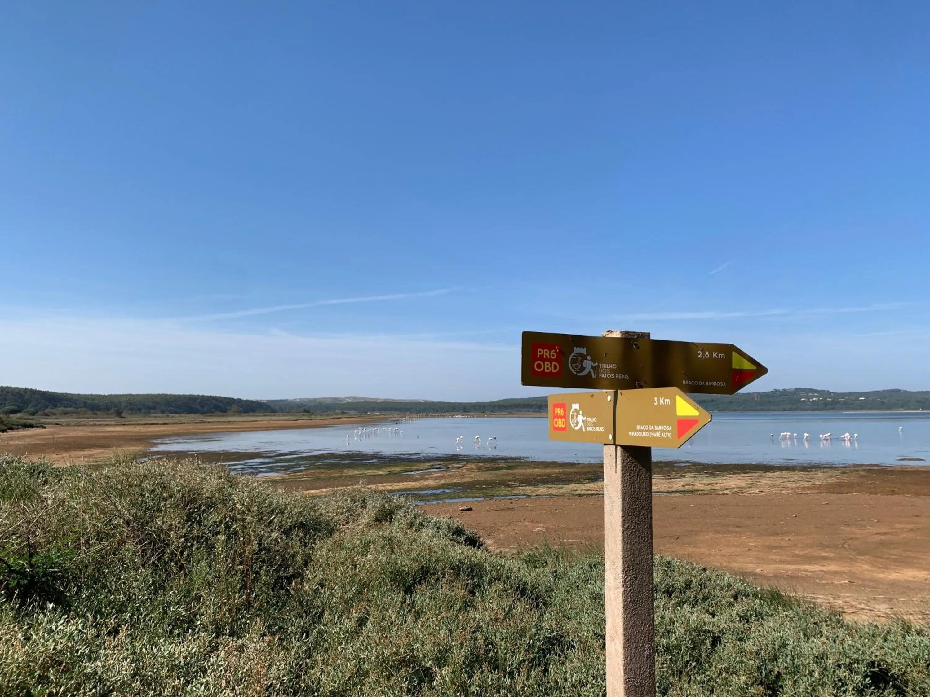 Natural landscape in Bedebike