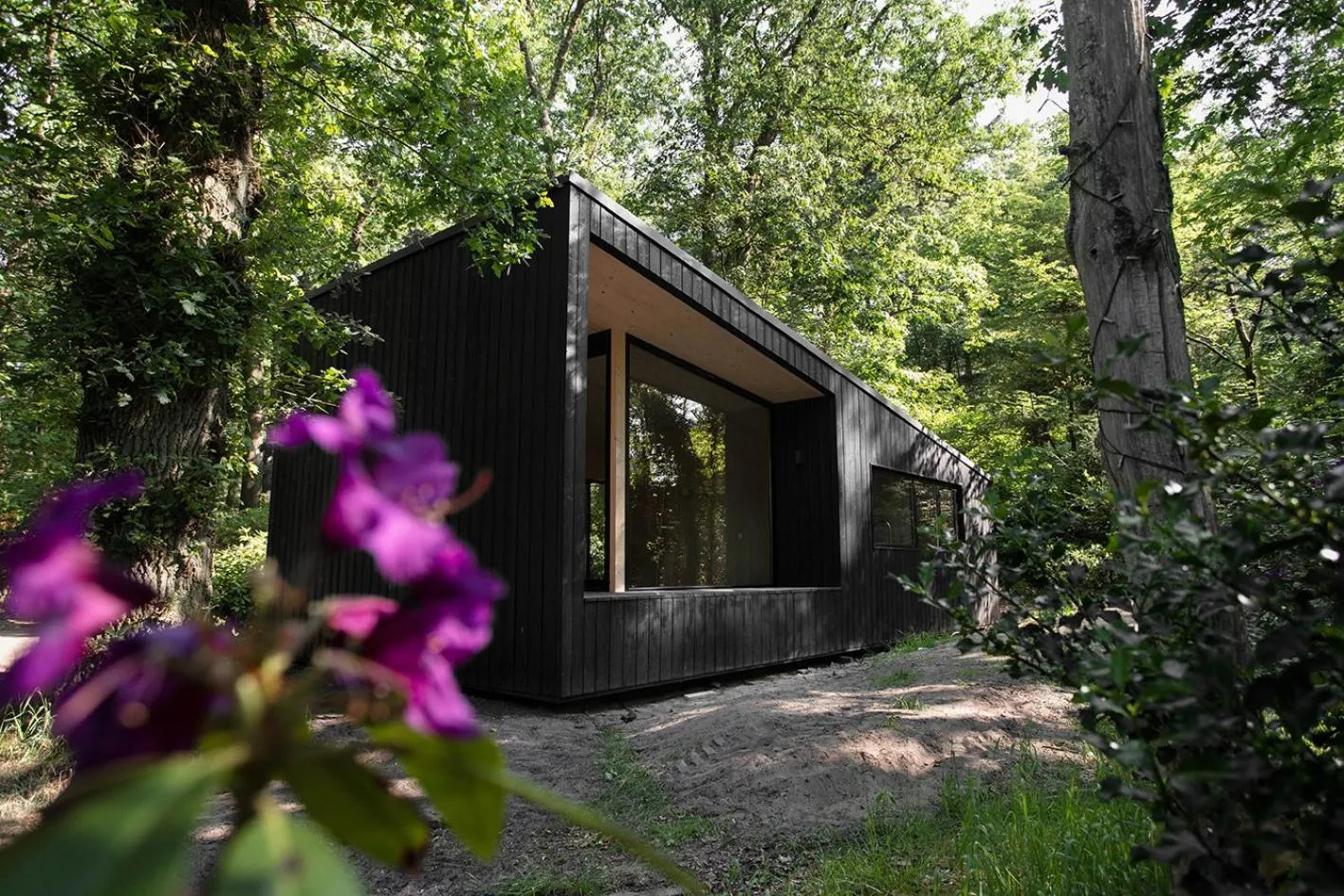 Property building in Buitenplaats Petersburg