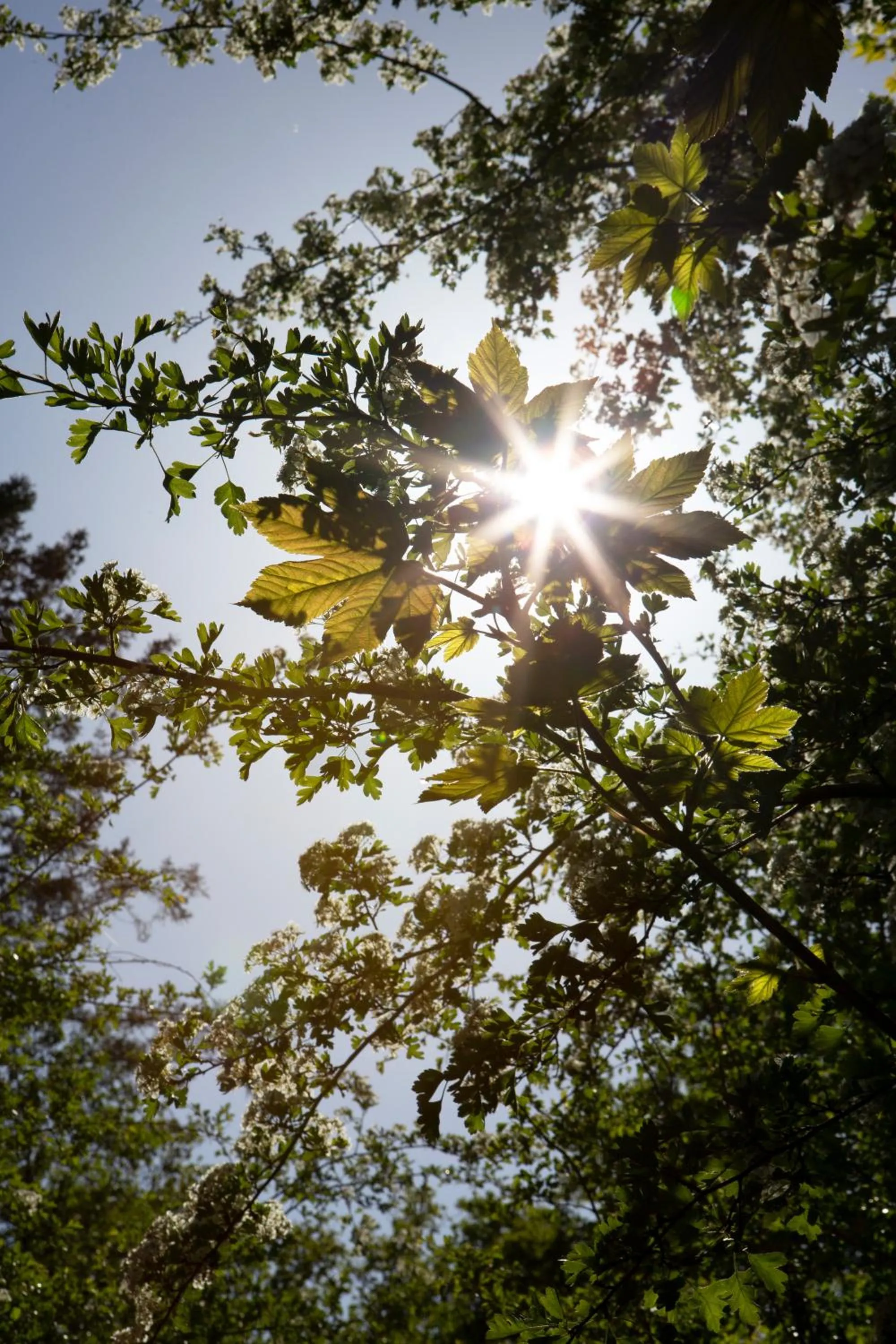 Natural landscape in Buitenplaats Petersburg