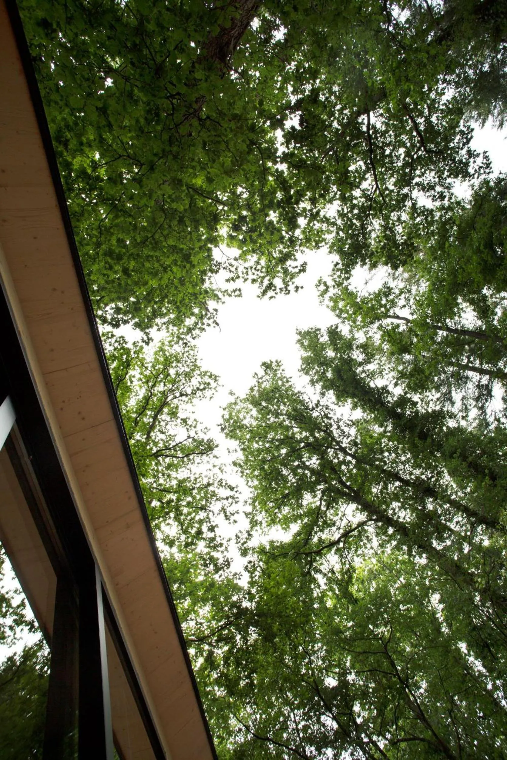 Balcony/Terrace in Buitenplaats Petersburg