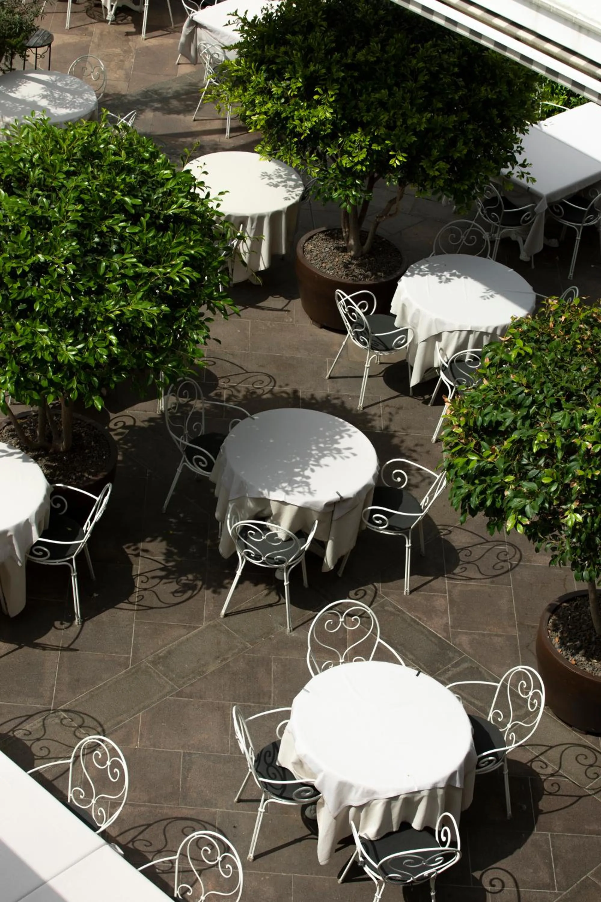 Restaurant/places to eat in Hotel Magdalener Hof