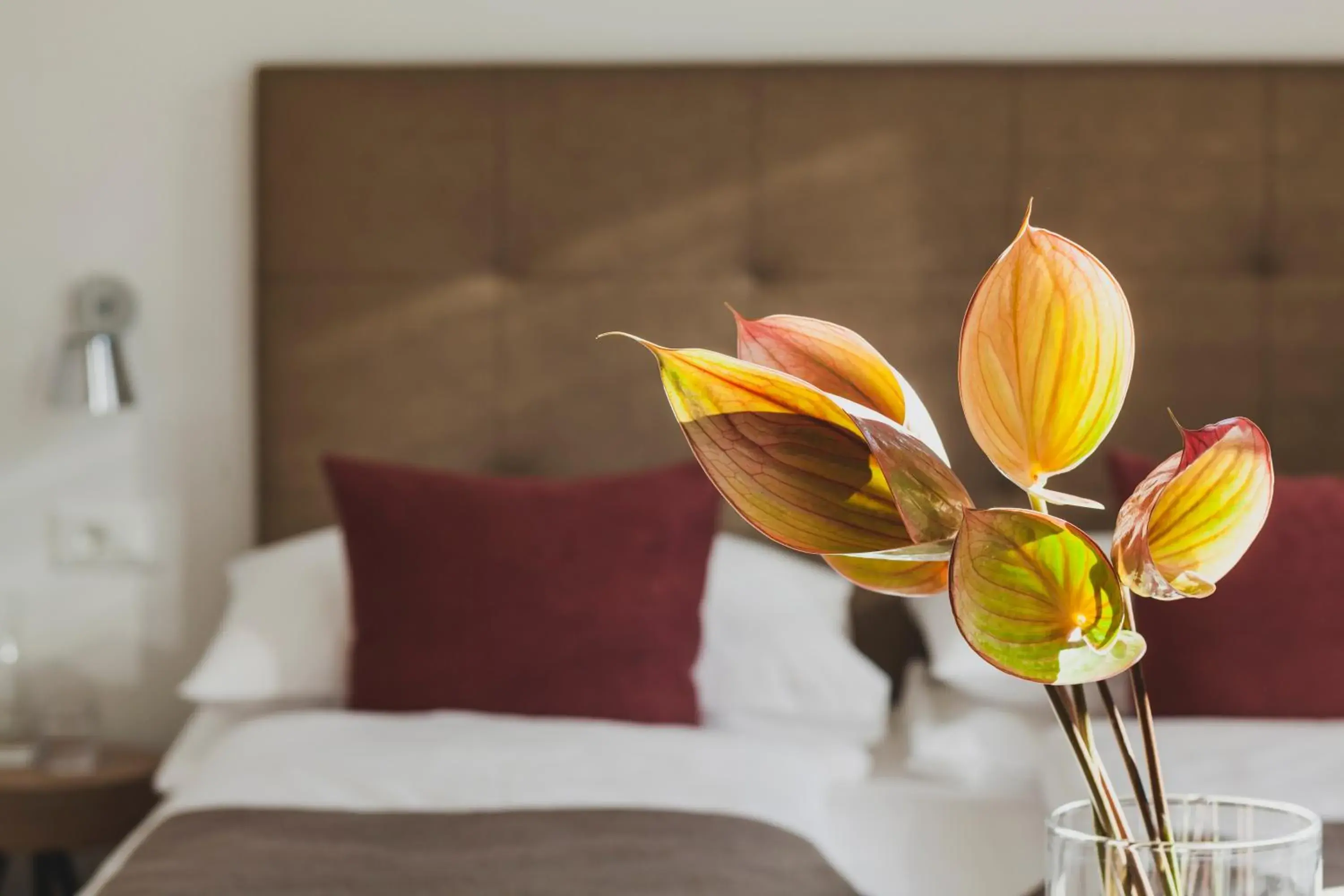 Single Room - single occupancy in Hotel Magdalener Hof Single Room - single occupancy in Hotel Magdalener Hof