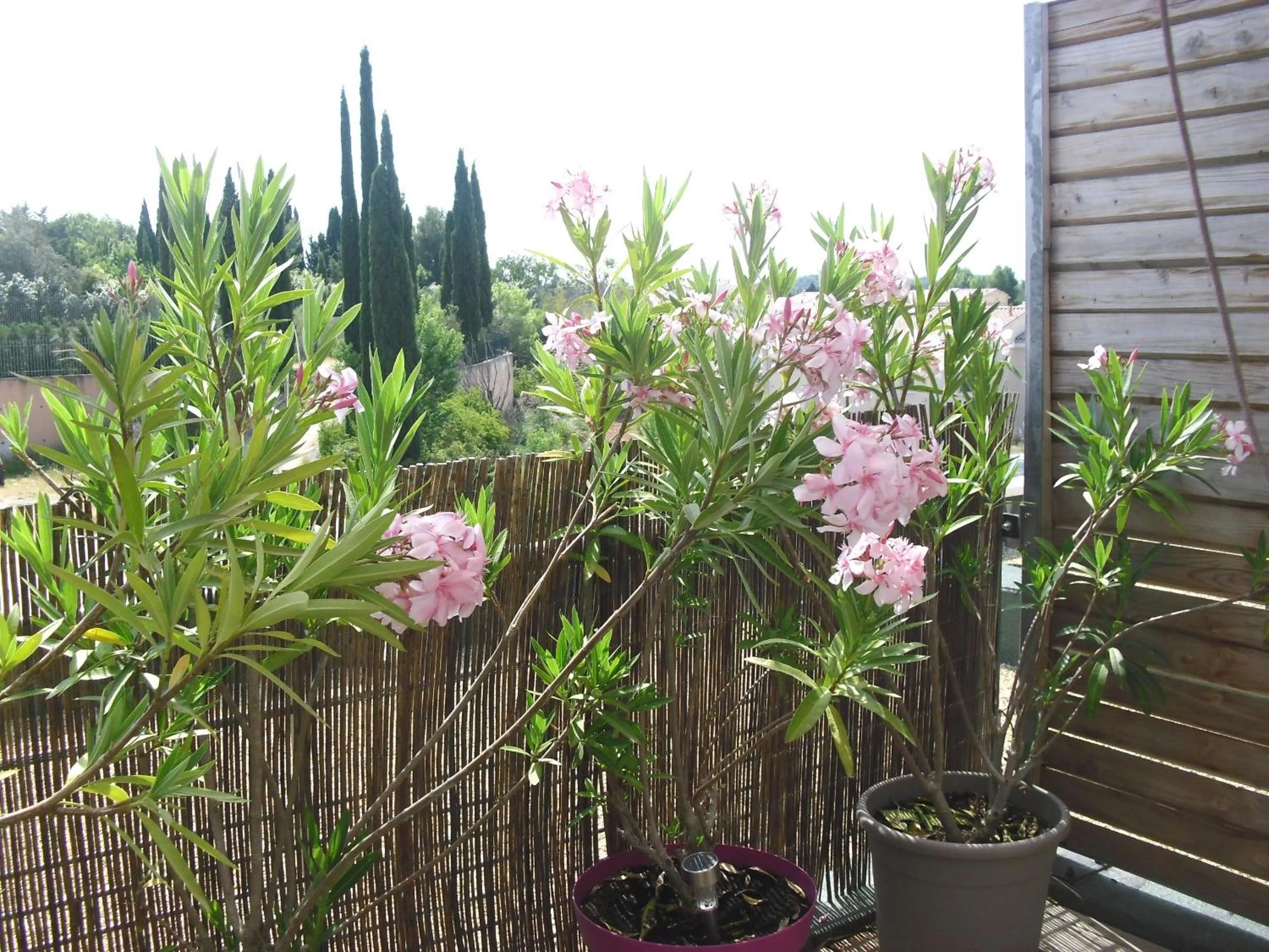 Balcony/Terrace in Studio à Deux Pas d'Aix