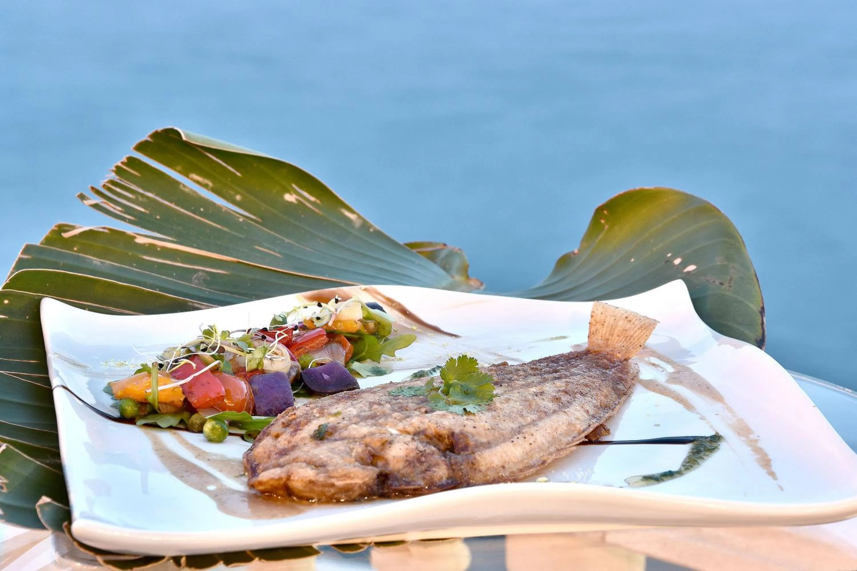 Restaurant/places to eat in Aparthotel Ola Blanca