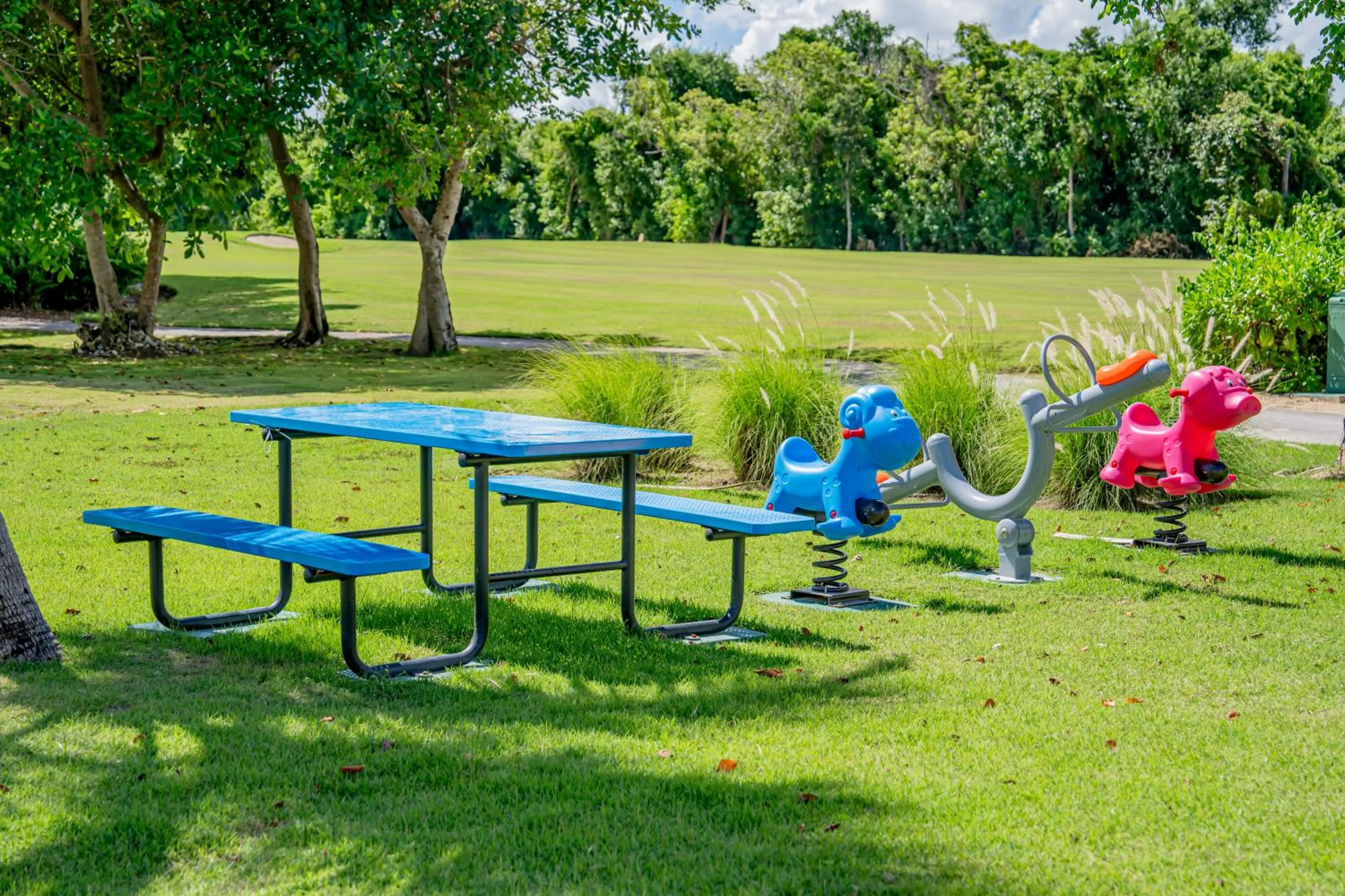 Garden in Xeliter Cana Rock Punta Cana