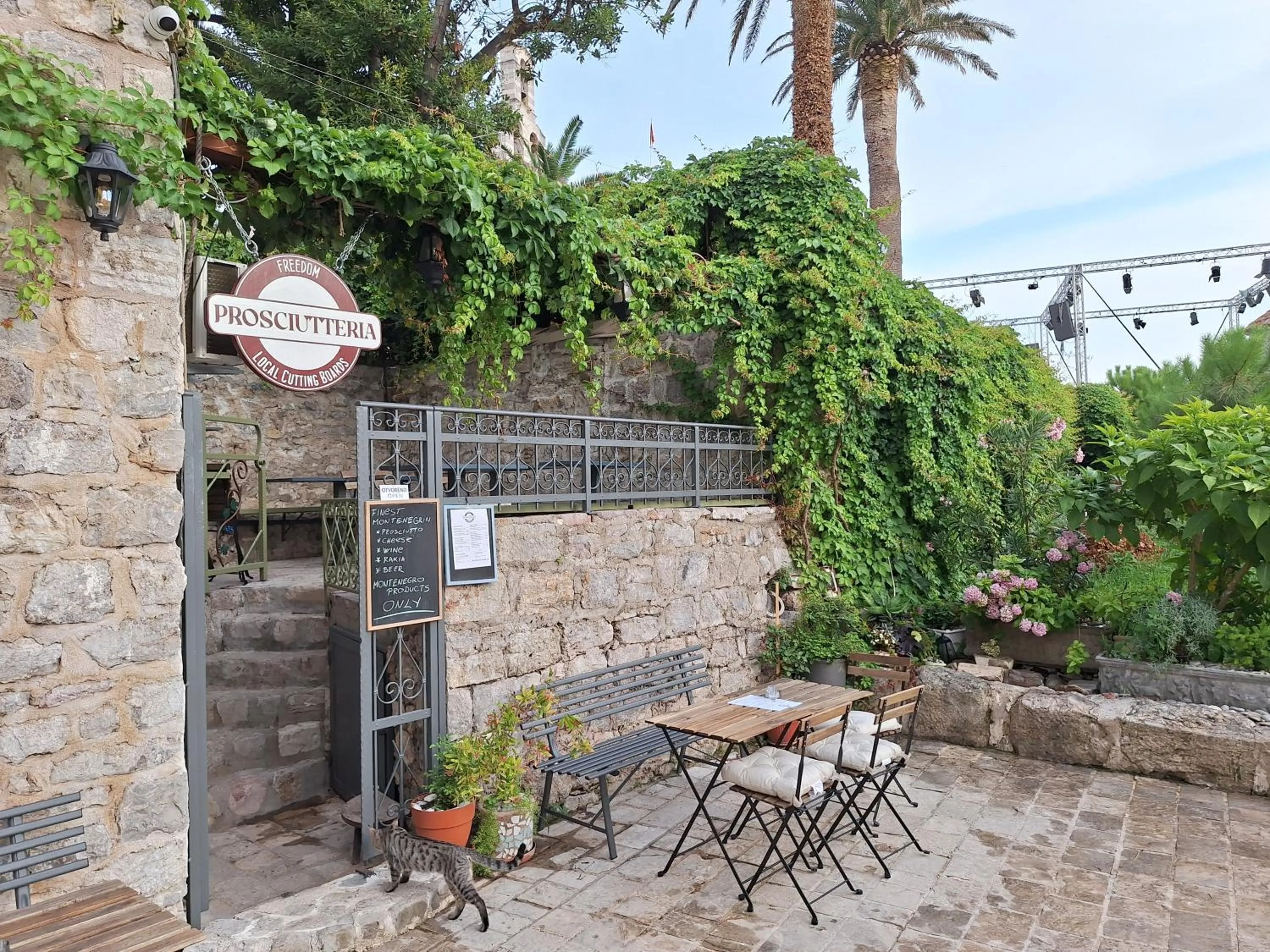 Garden in FREEDOM HOSTEL