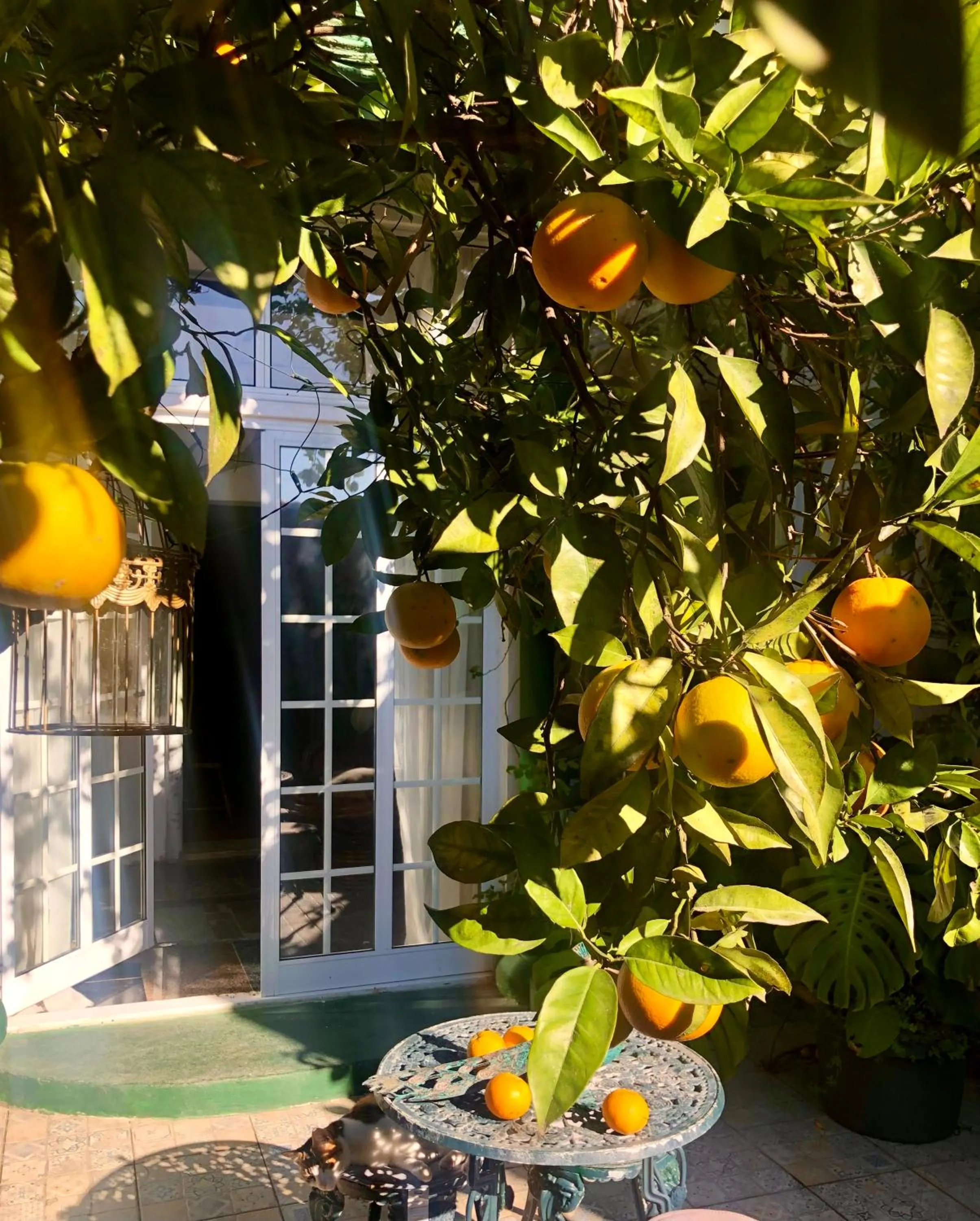 House Sleeps 4 with Private Garden