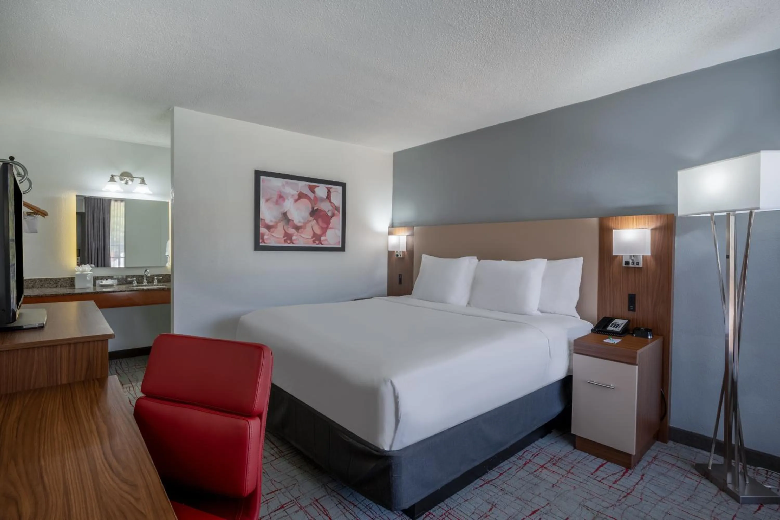 Bed in Wyndham Garden Columbia-Ft Jackson