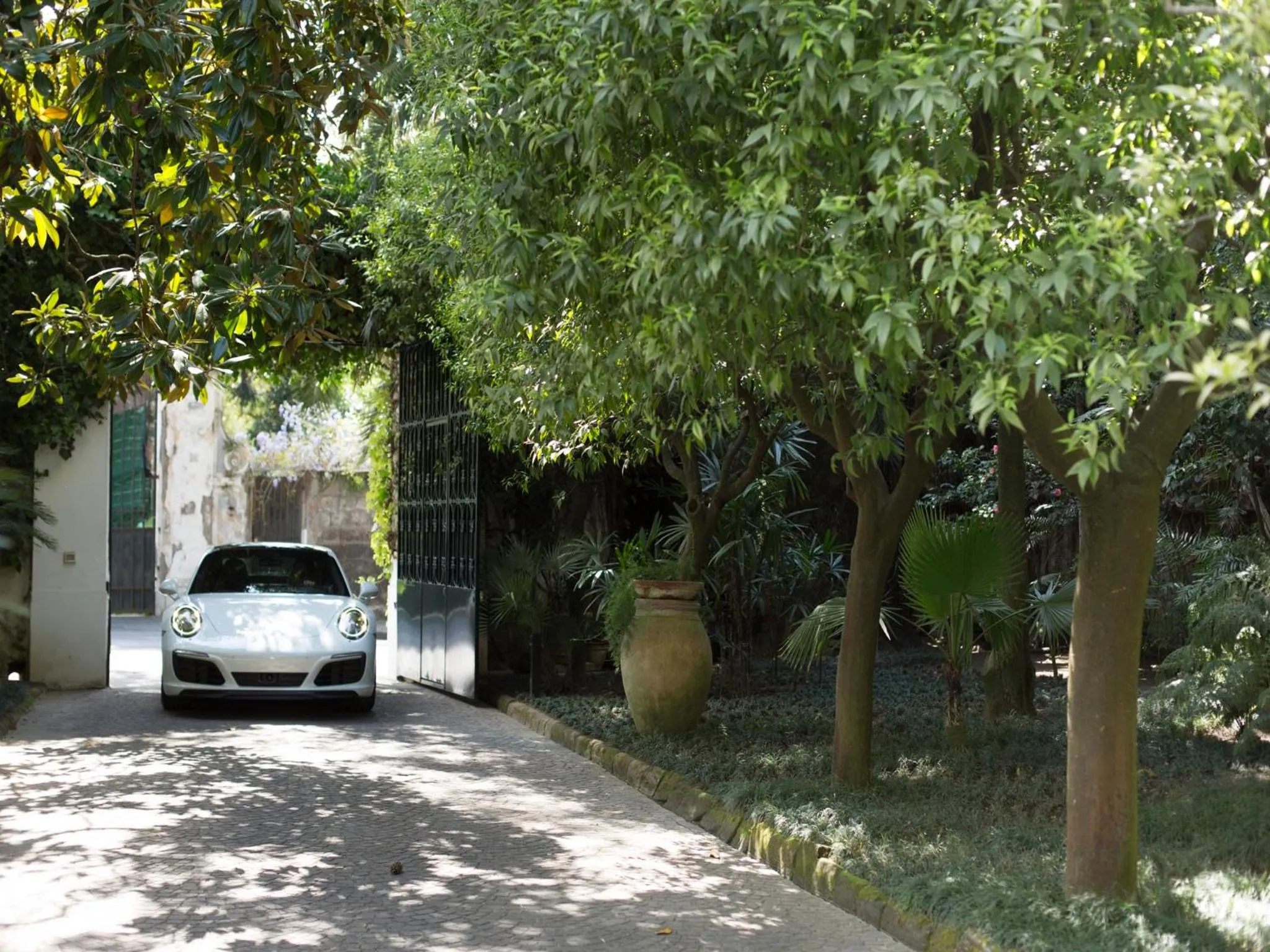 Garden in Relais Villa Savarese