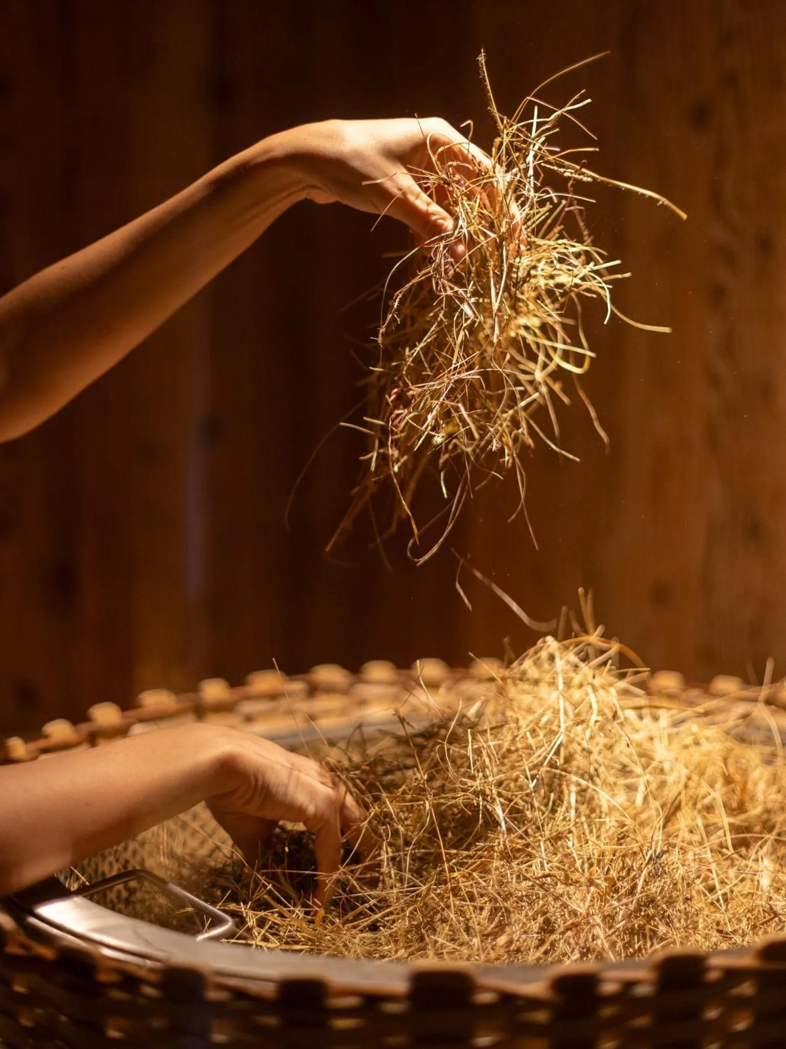 Spa and wellness centre/facilities in Boutique Hotel Stresa