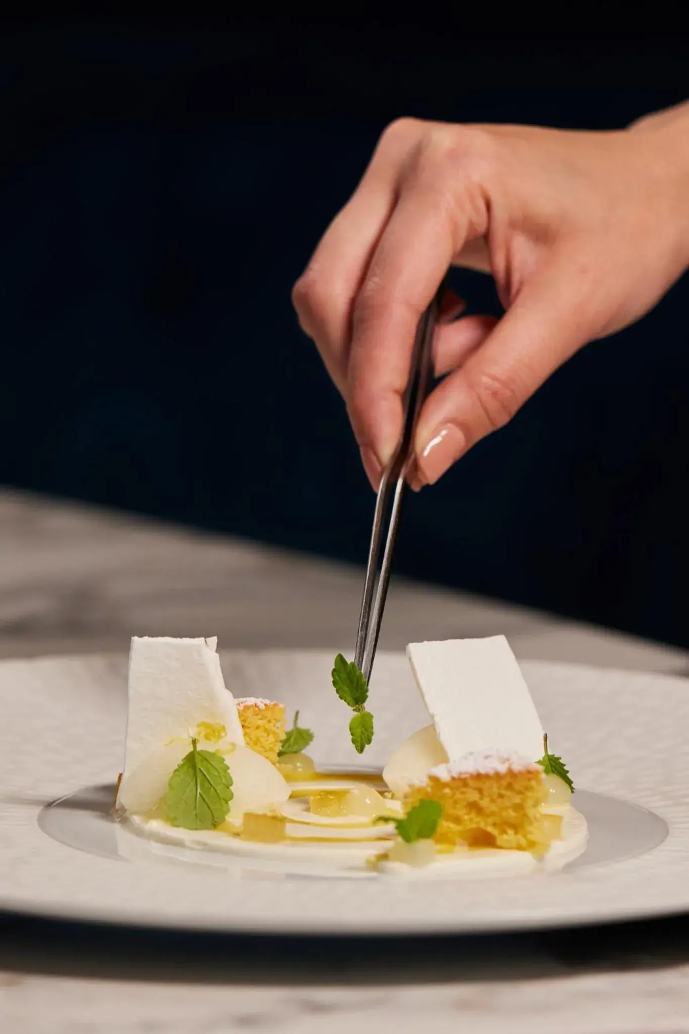 Restaurant/places to eat in Boutique Hotel Stresa Restaurant/places to eat in Boutique Hotel Stresa