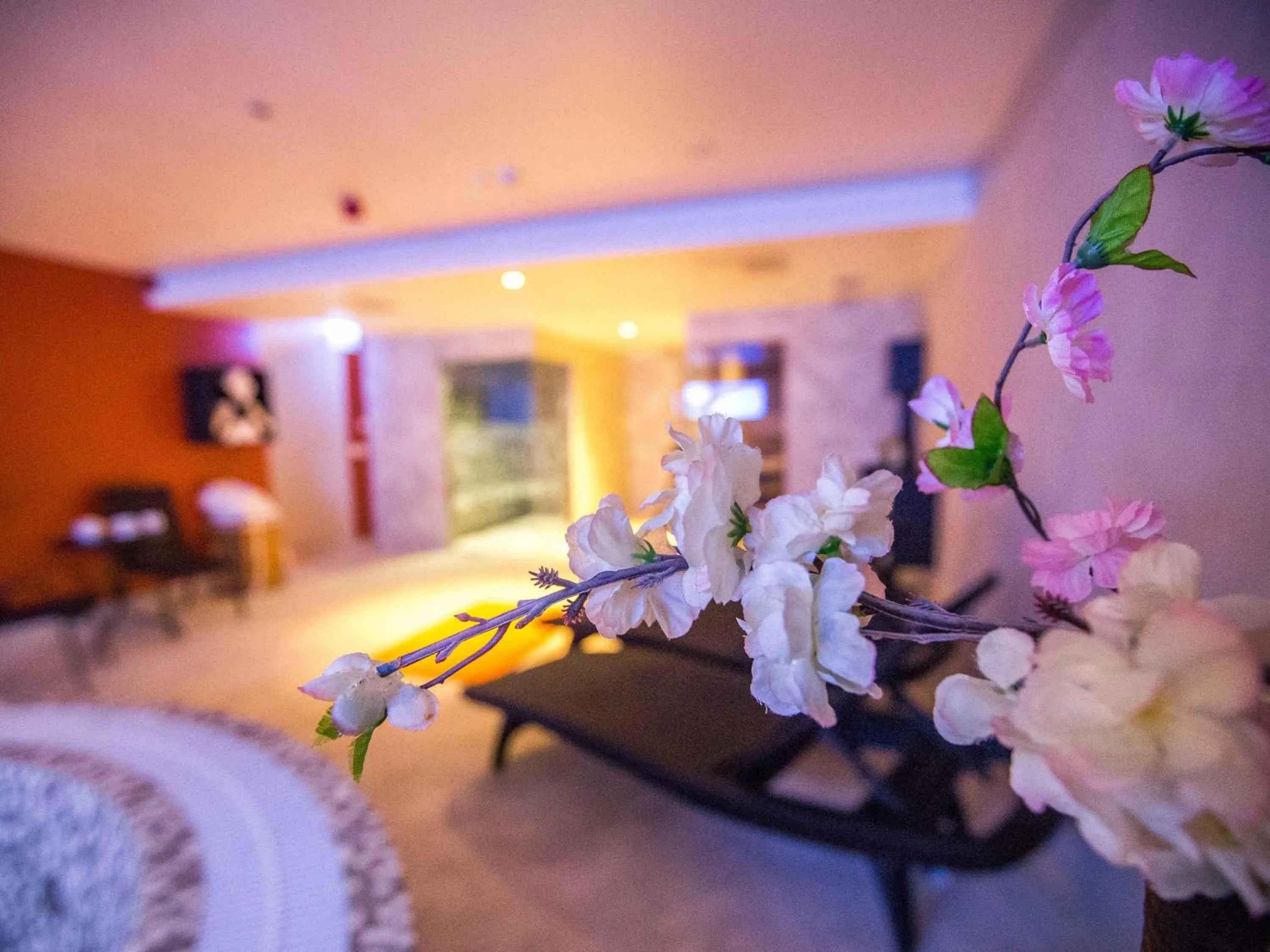 Other, Bed in Mercure Riga Centre