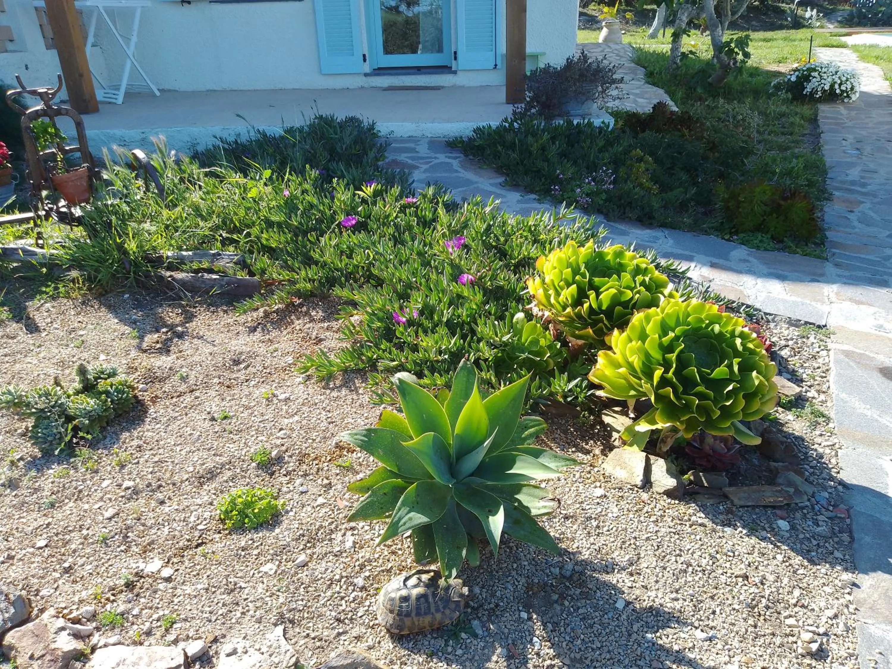 Garden in Lispusada Agriturismo Adults Only