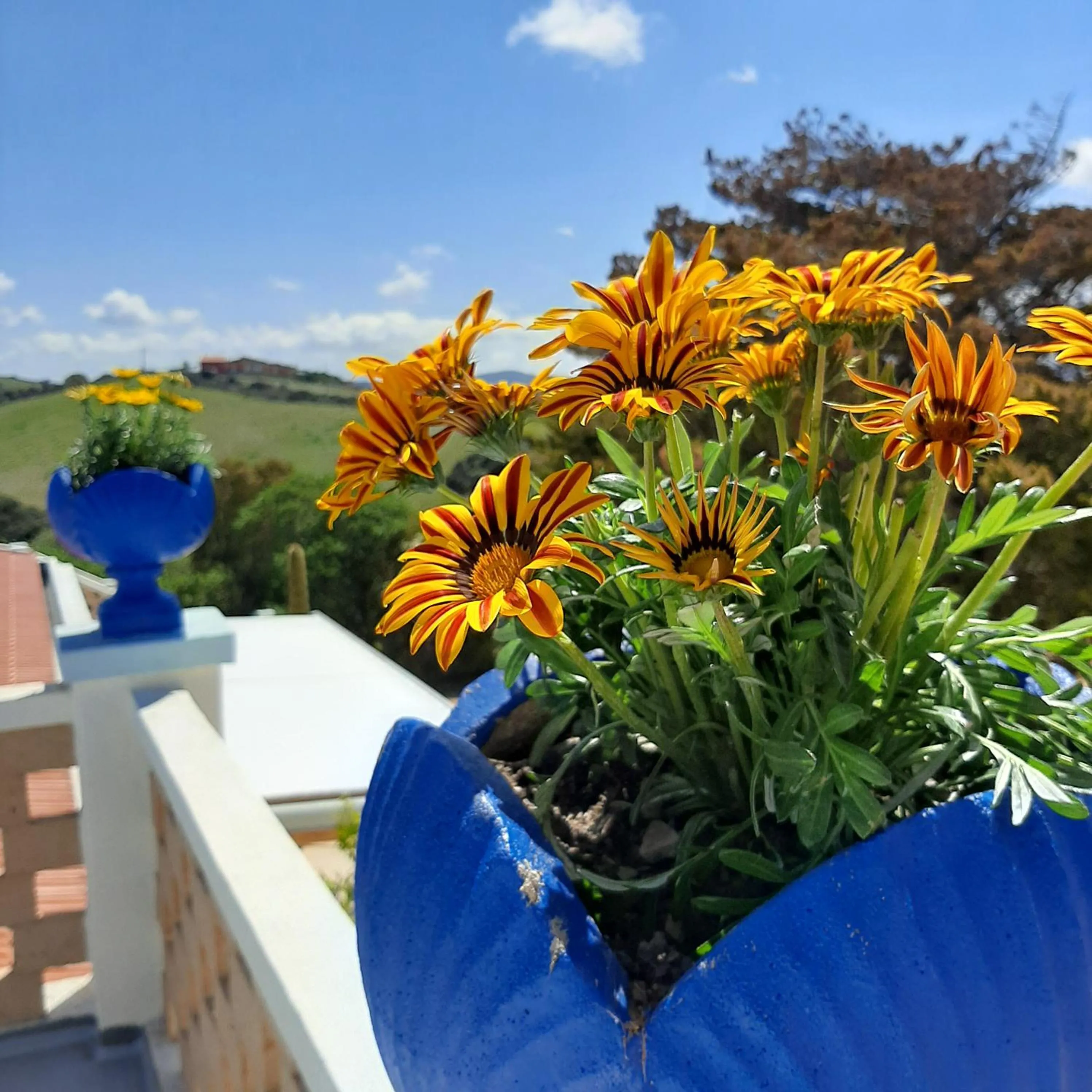 Garden view in Lispusada Agriturismo Adults Only