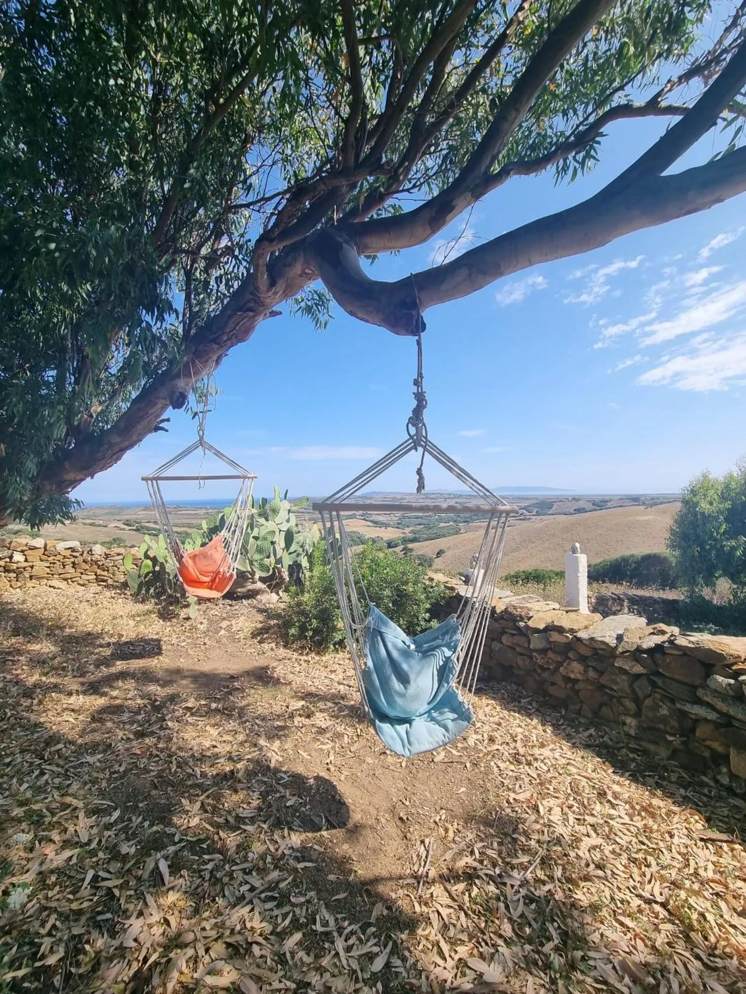 View (from property/room) in Lispusada Agriturismo Adults Only