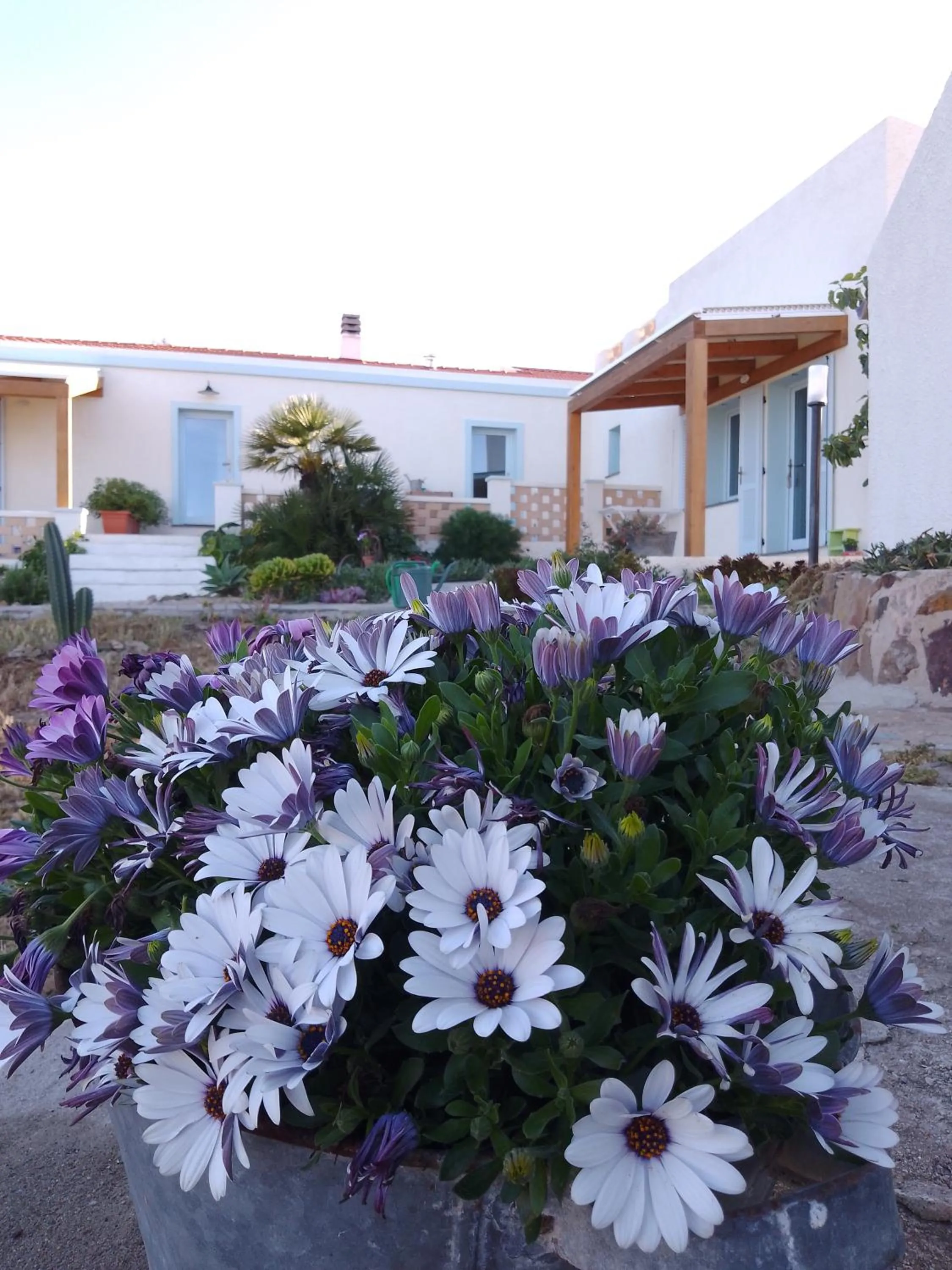 Garden in Lispusada Agriturismo Adults Only