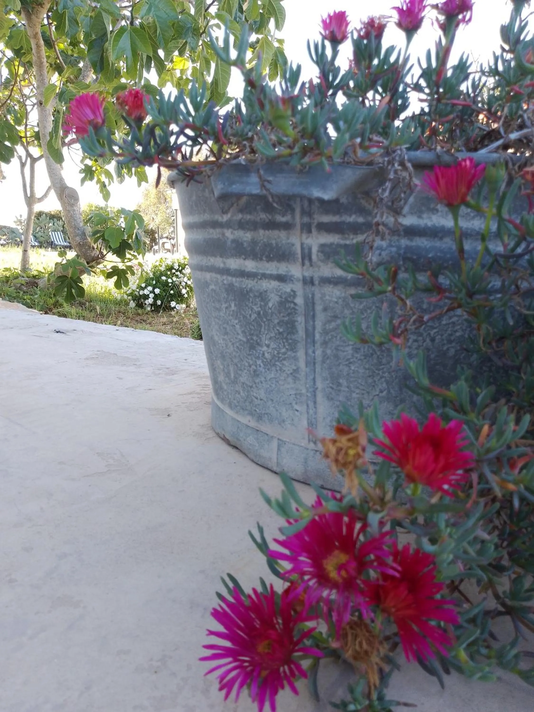 Garden in Lispusada Agriturismo Adults Only