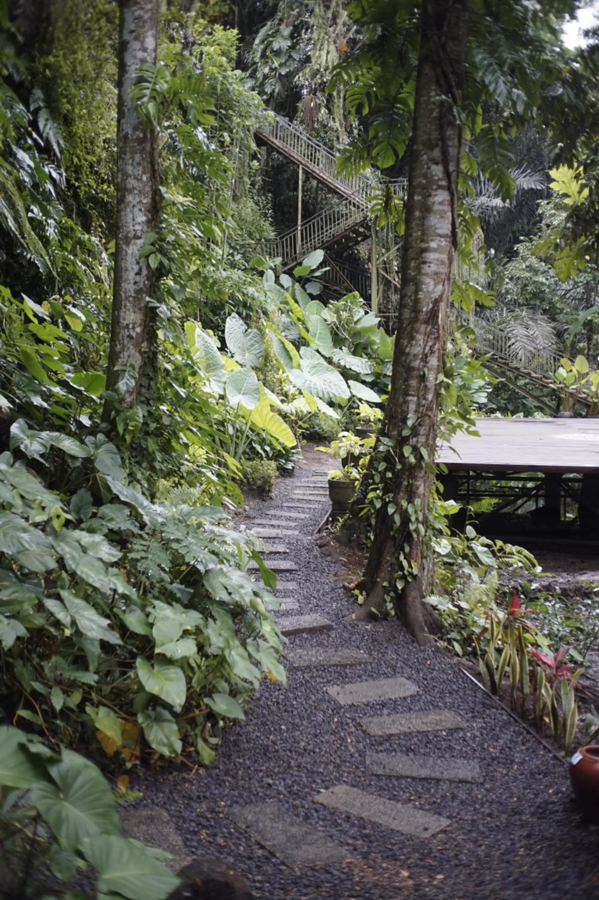 Garden in Tattva Ubud Retreat & Wellness