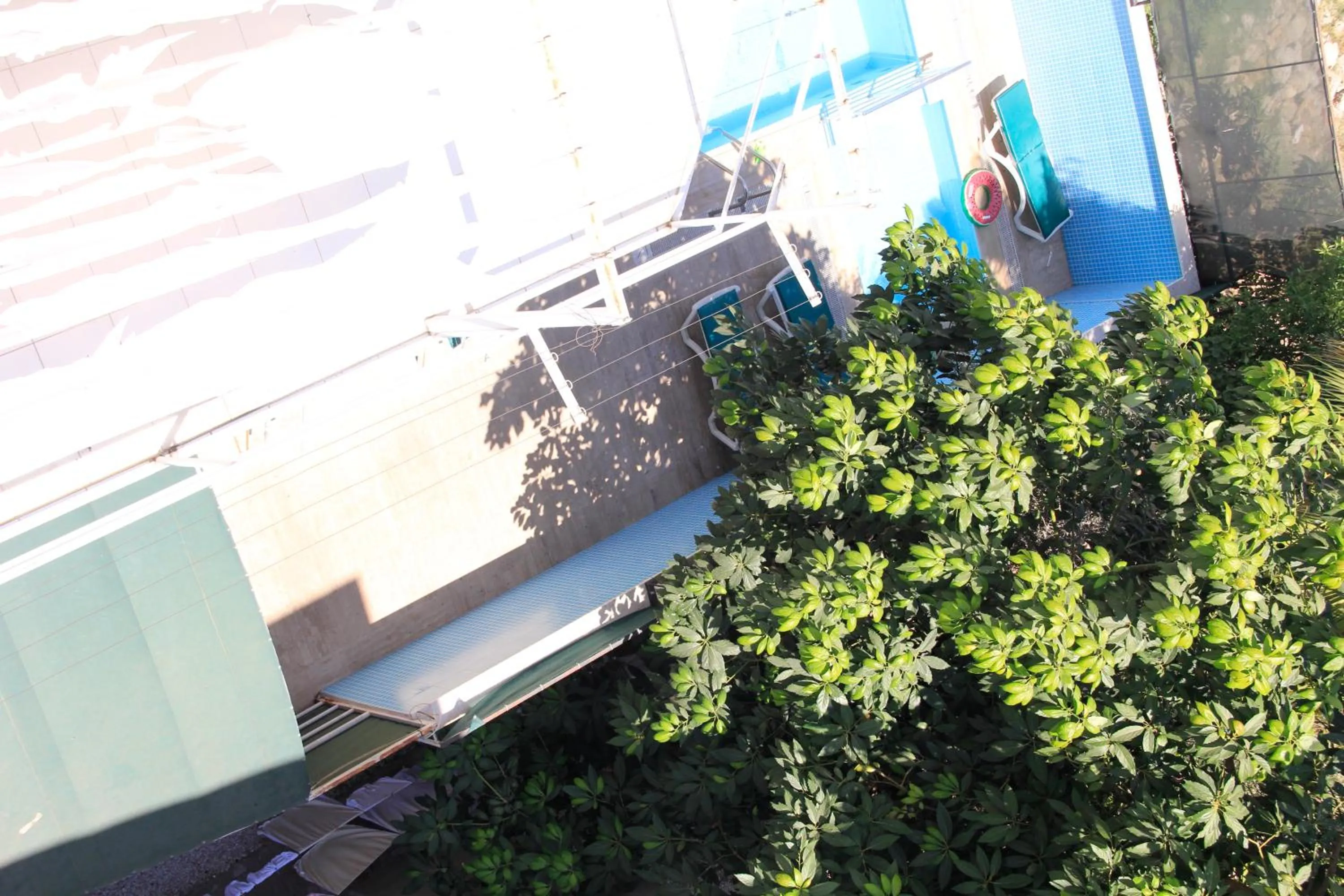Swimming pool in Cleopatra City Hotel Alanya