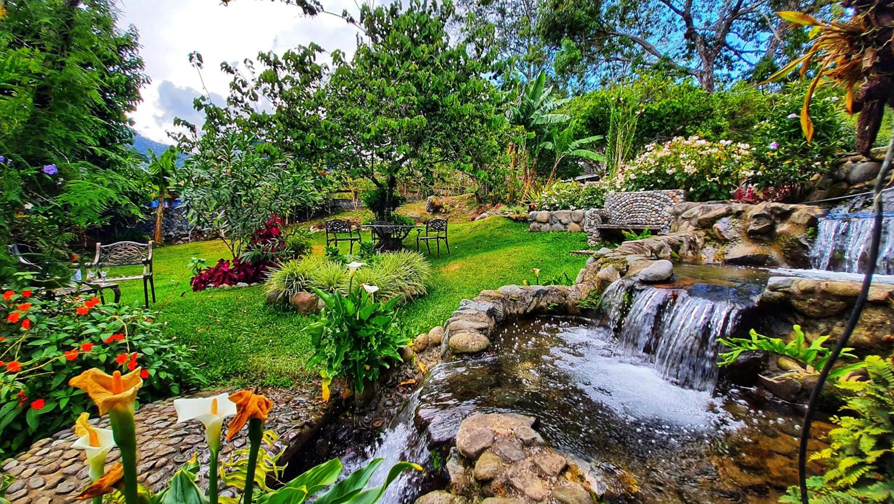 Garden in The Residence by Villa Alejandro