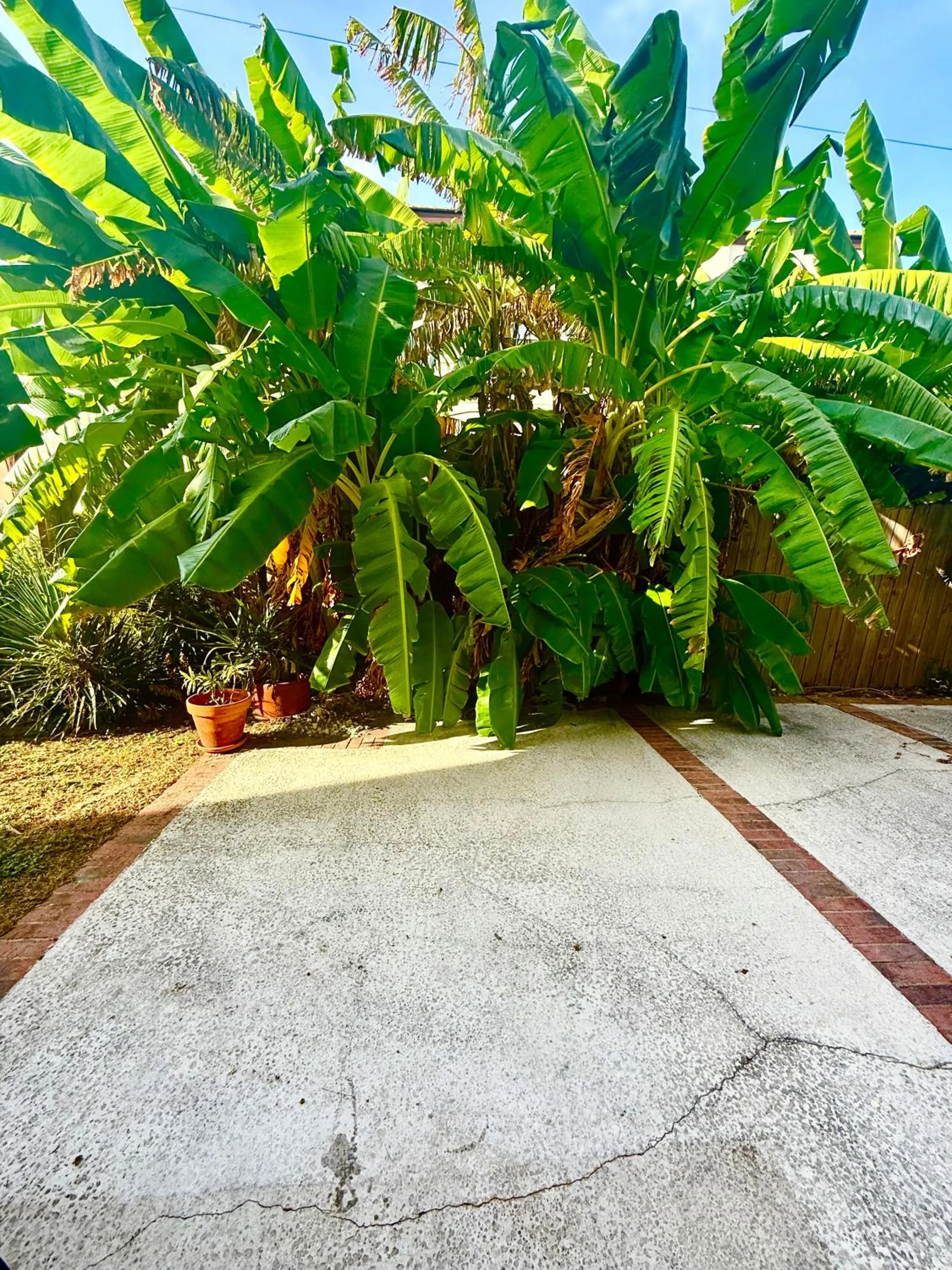 SPI Beach Condo - Just a block away to Paradise